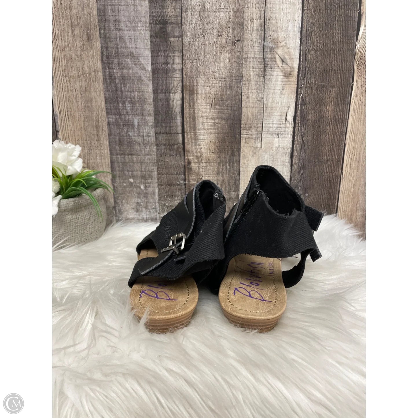 Sandals Flats By Blowfish In Black, Size: 11