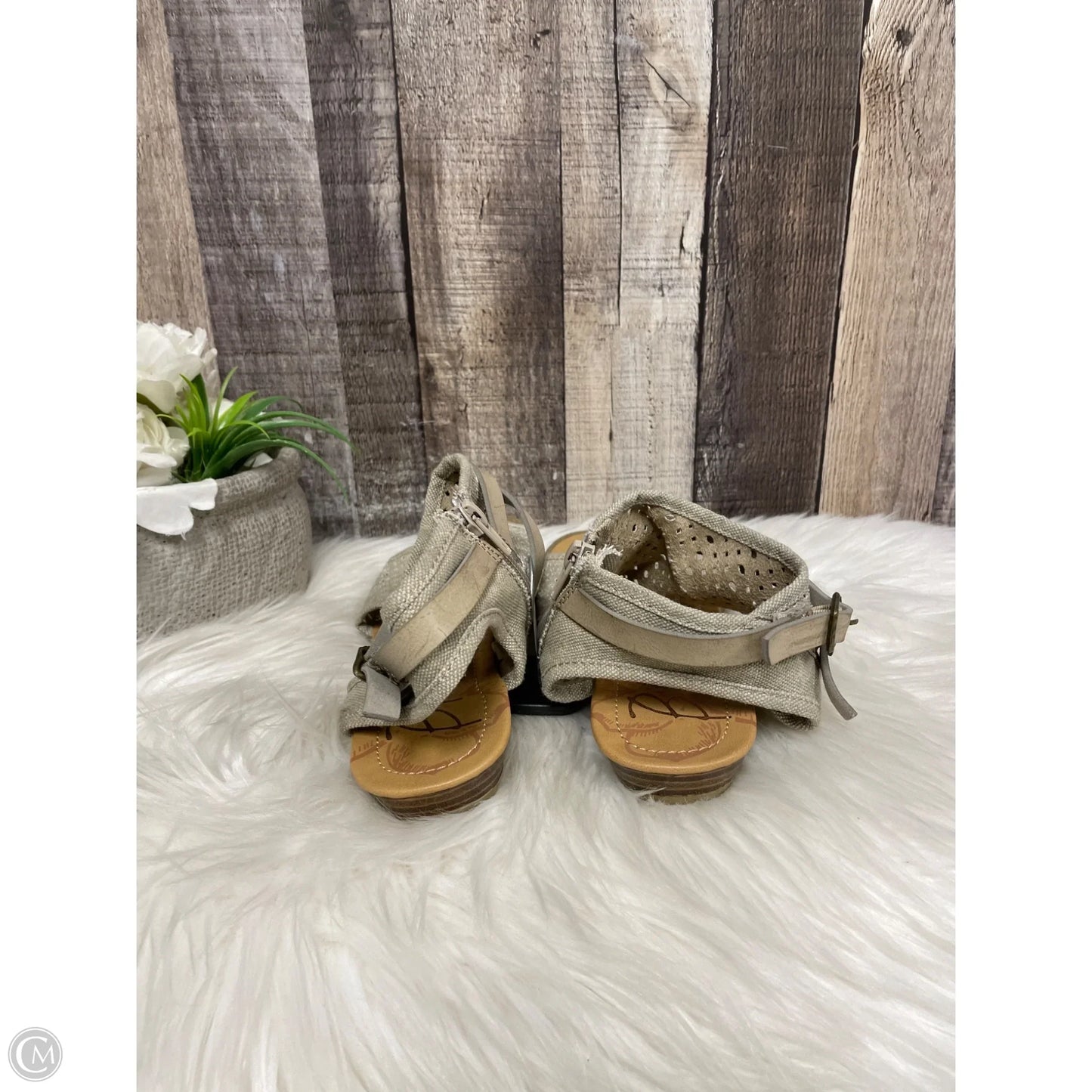 Sandals Flats By Blowfish In Taupe, Size: 8