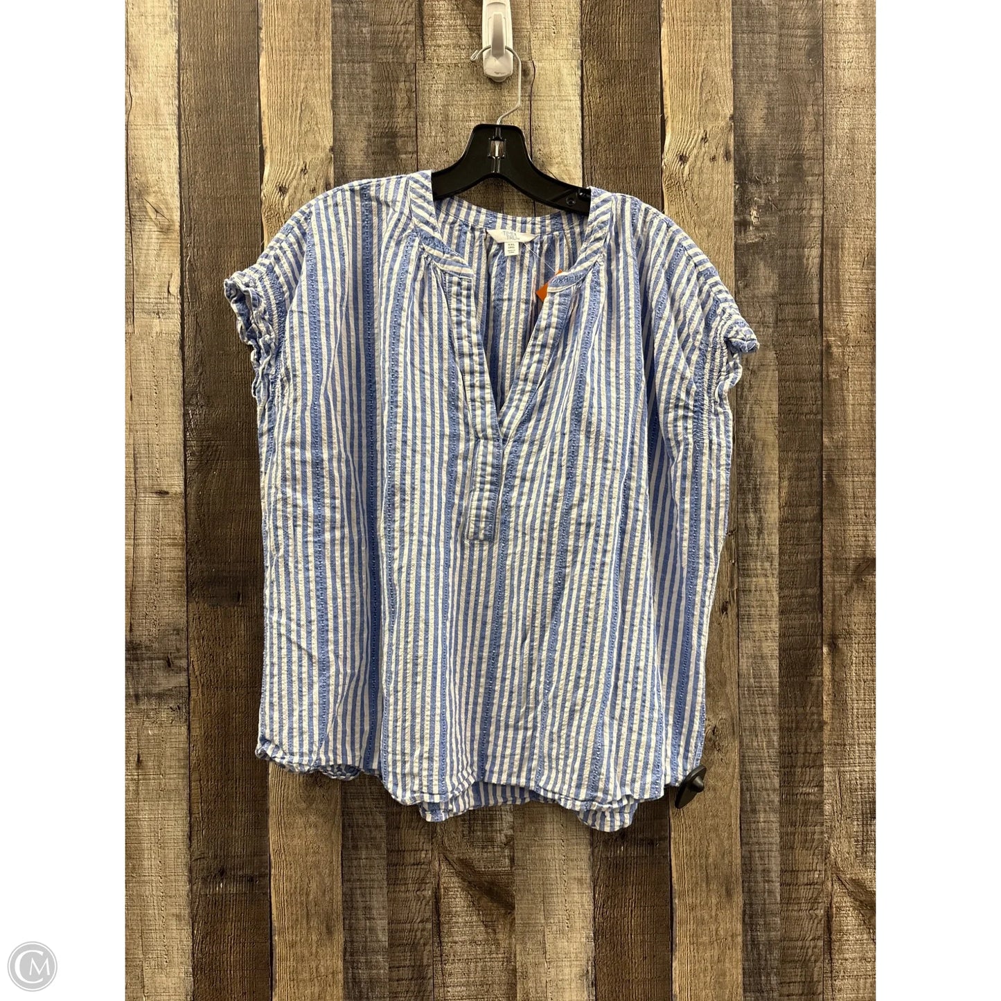 Top Sleeveless By Time And Tru In Striped Pattern, Size: Xxl