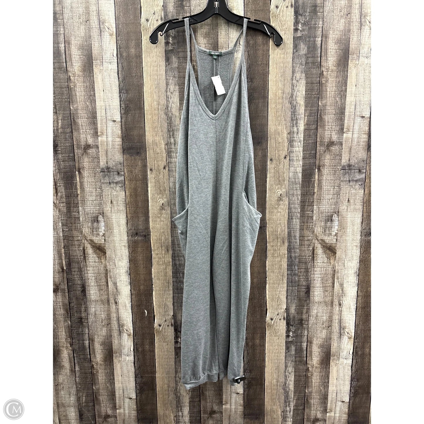 Jumpsuit By Wild Fable In Grey, Size: S