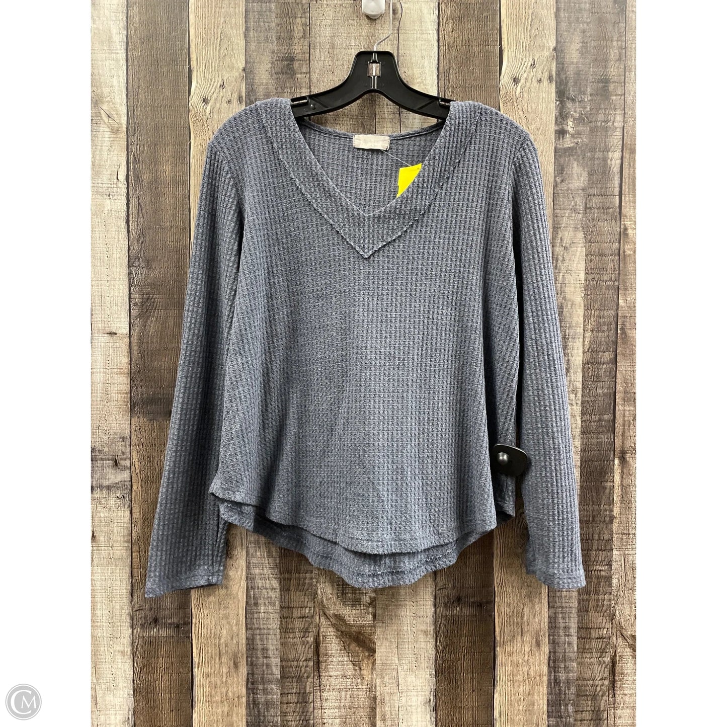 Top Long Sleeve By Altard State In Blue, Size: M