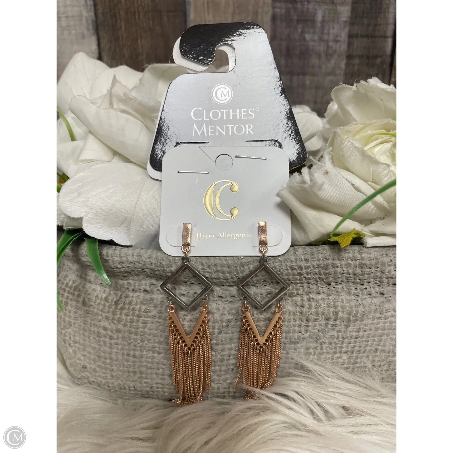 Earrings Dangle/drop By Charming Charlie