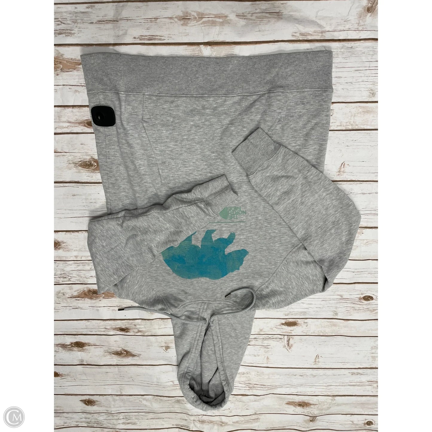 Sweatshirt Hoodie By The North Face In Grey, Size: M