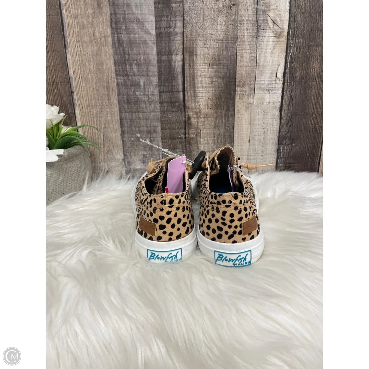 Shoes Sneakers By Blowfish In Animal Print, Size: 7.5