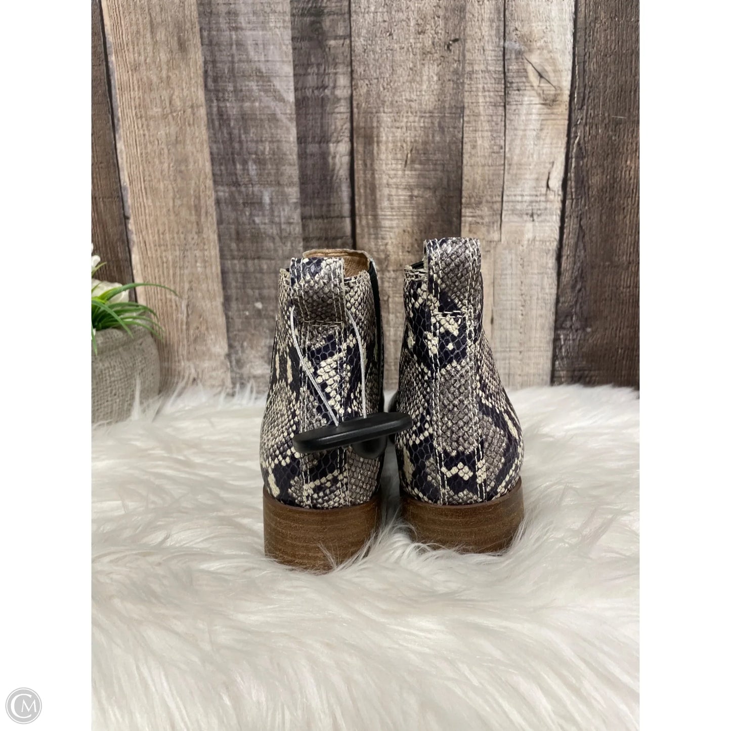 Boots Ankle Flats By Madewell In Snakeskin Print, Size: 7