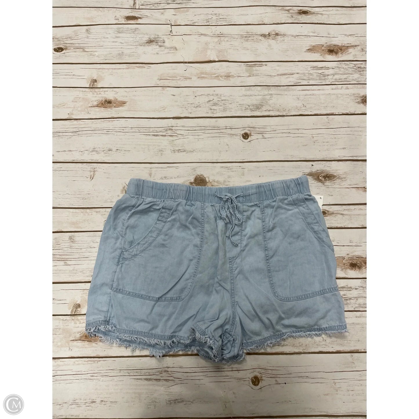 Shorts By Time And Tru In Blue, Size: L