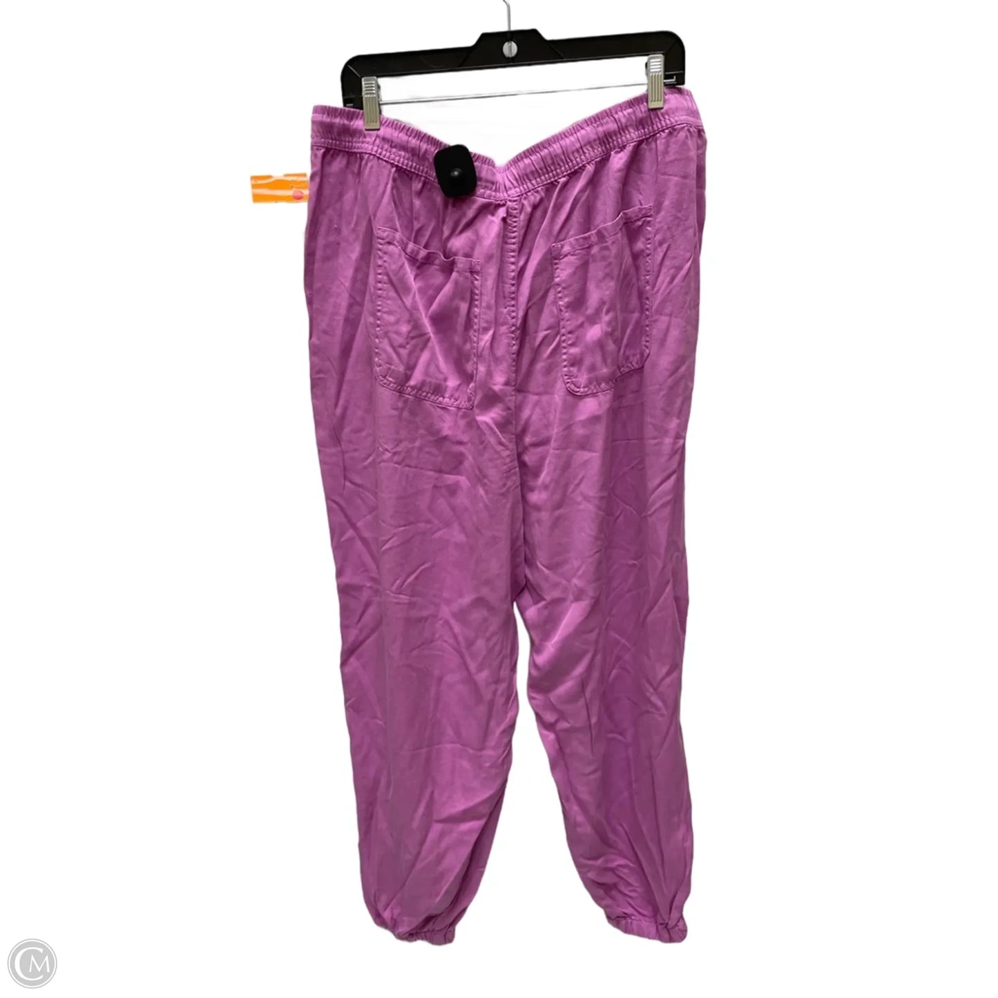 Pants Joggers By Time And Tru In Purple, Size: 16