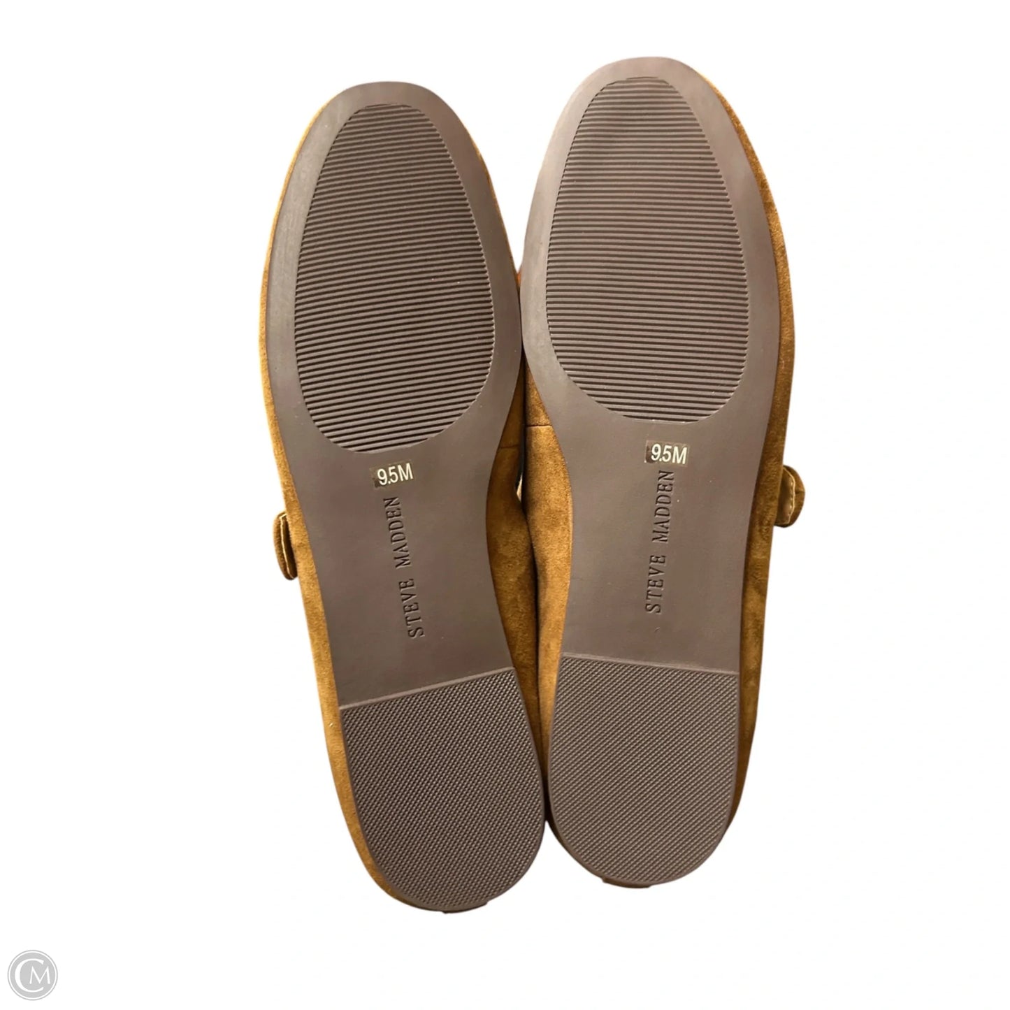 Shoes Flats By Steve Madden In Brown, Size: 9.5