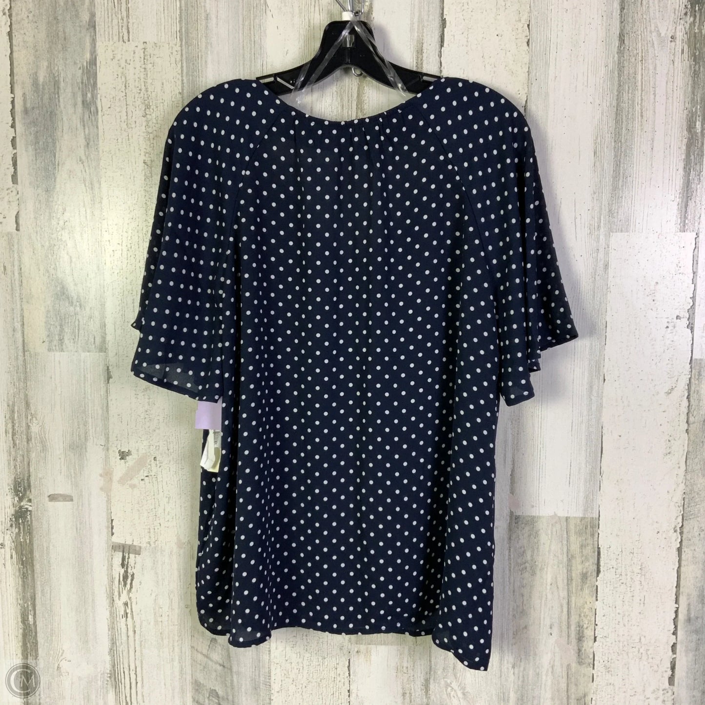Blouse Short Sleeve By Counterparts In Blue & White, Size: Xl