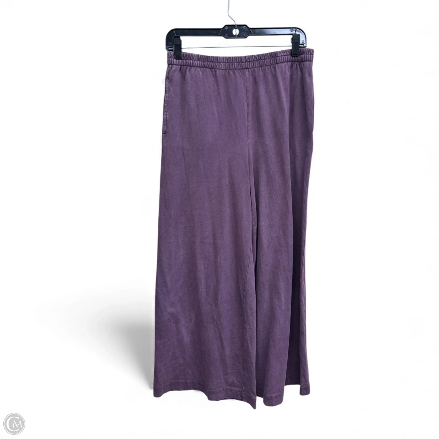Pants Set 2pc By Z Supply In Purple, Size: S