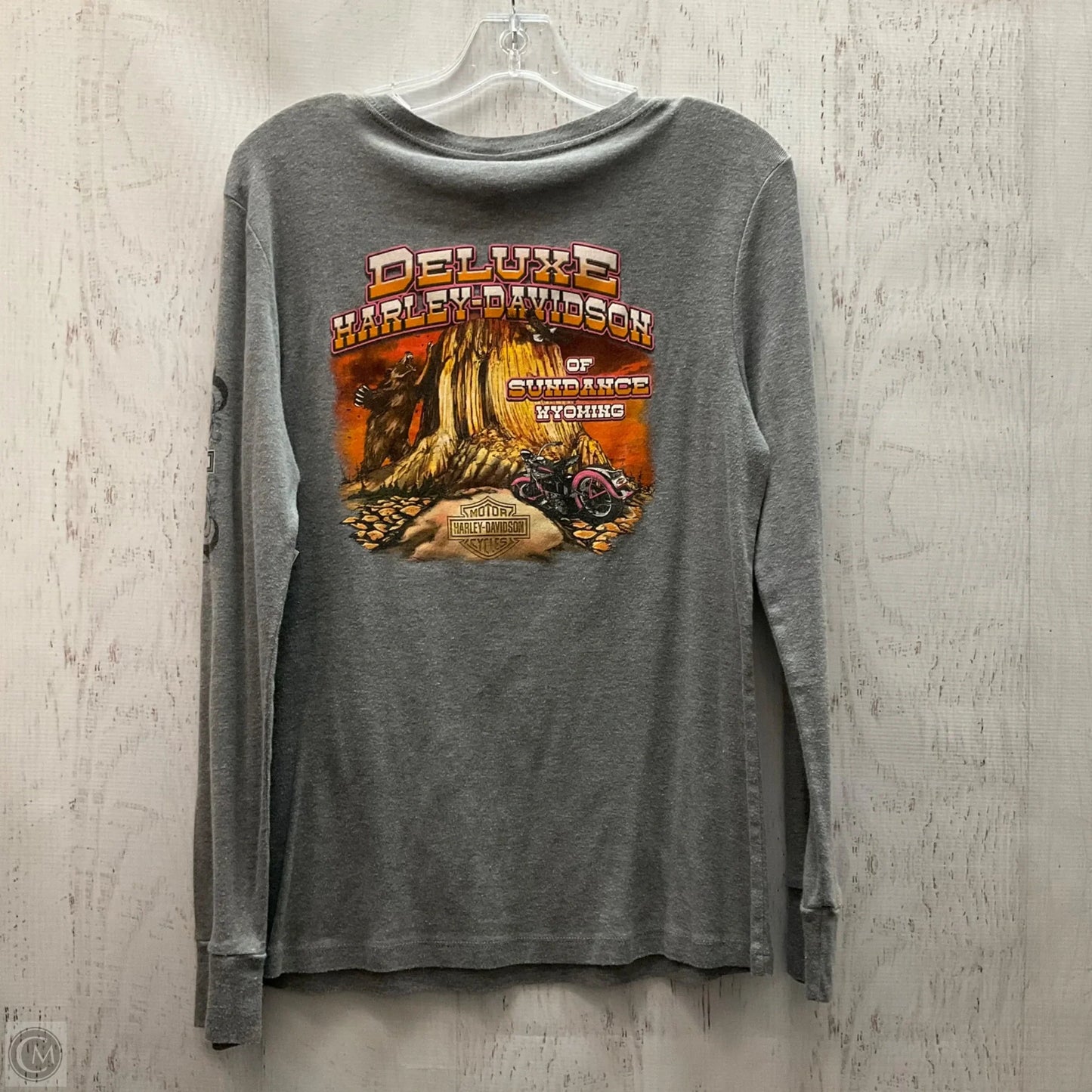 Top Long Sleeve By Harley Davidson In Grey, Size: Xl