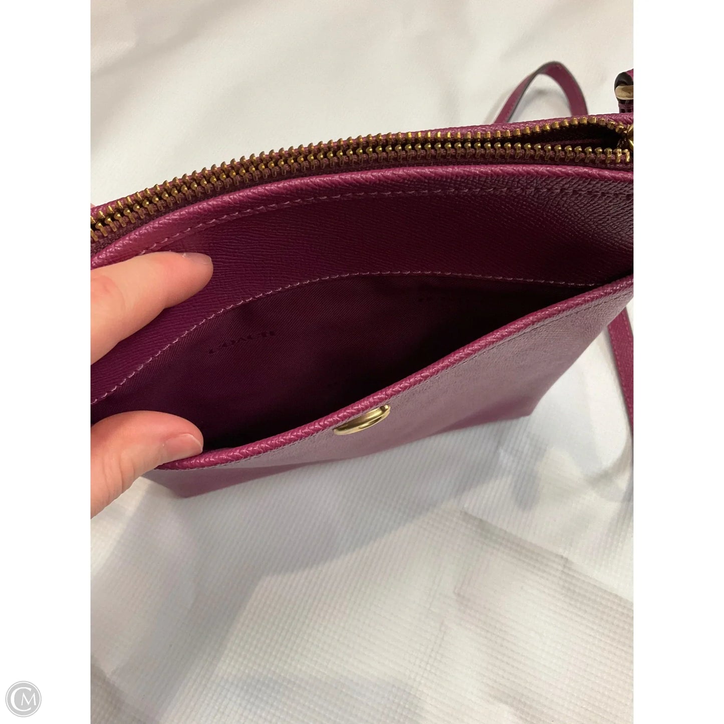 Crossbody Designer By Coach, Size: Large