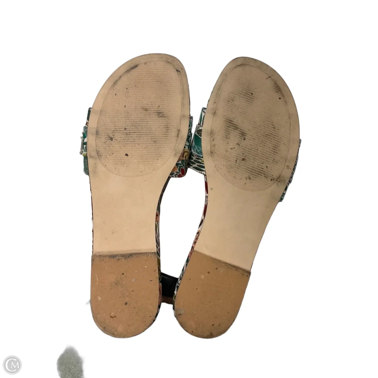 Sandals Flats By Steve Madden In Floral Print, Size: 8