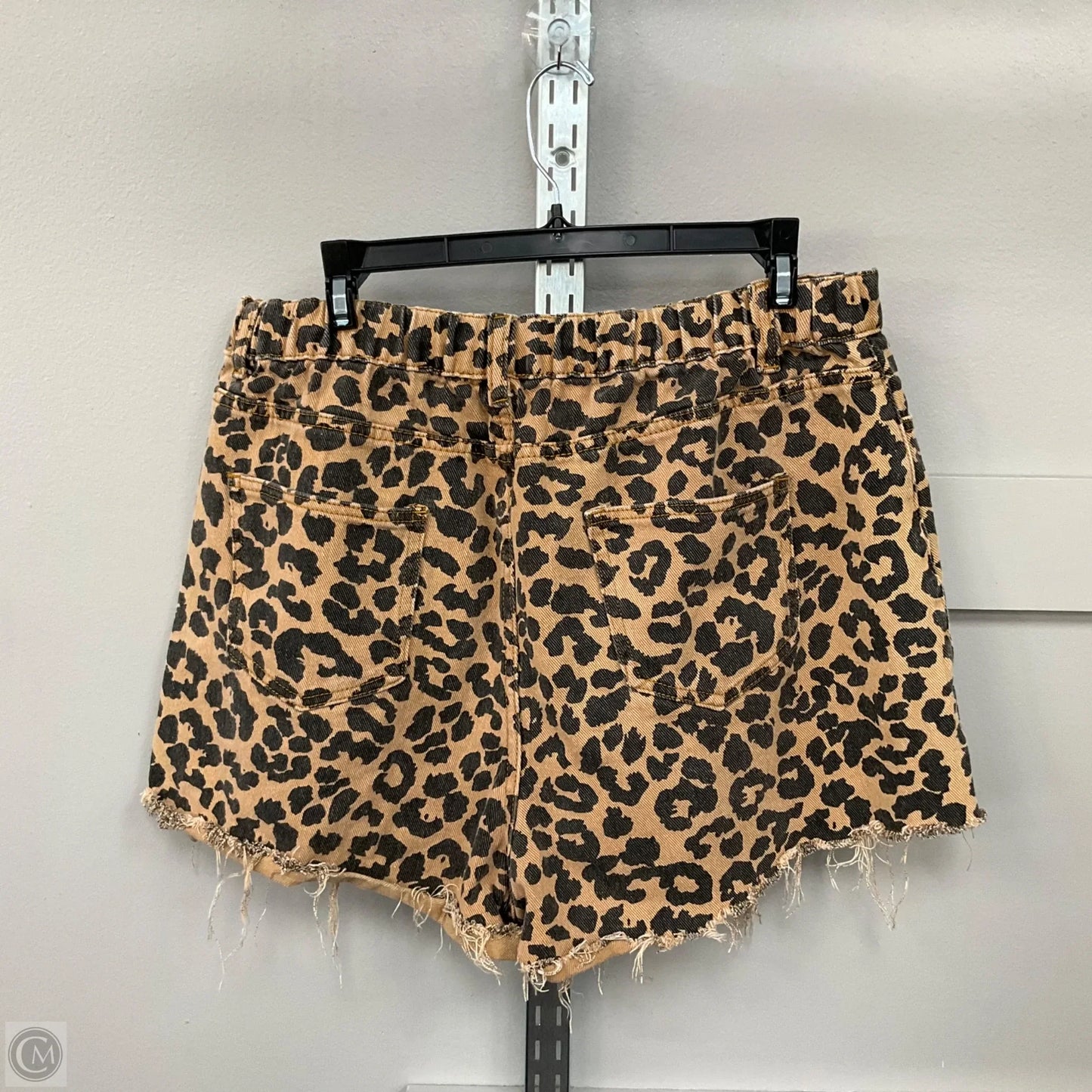 Shorts By Hayden La In Animal Print, Size: 1x