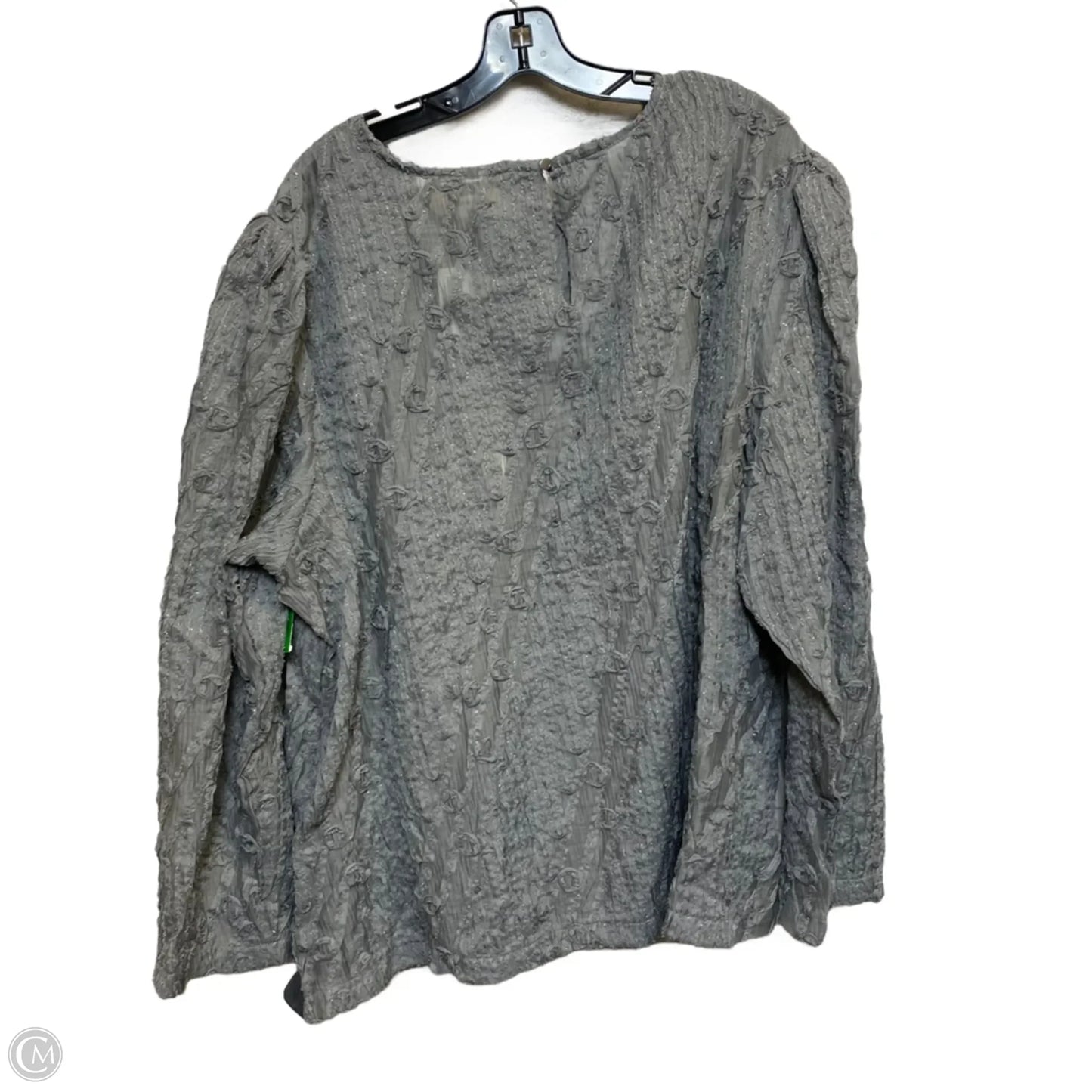 Top Long Sleeve By Cato In Grey, Size: 4x