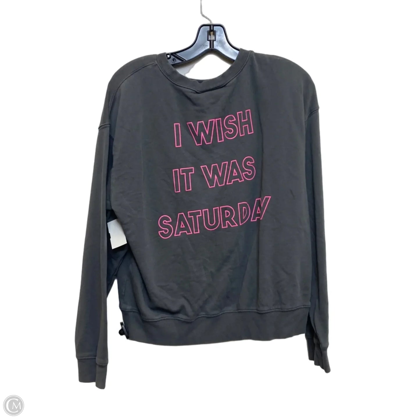 Sweatshirt Crewneck By Wildfox In Grey, Size: S
