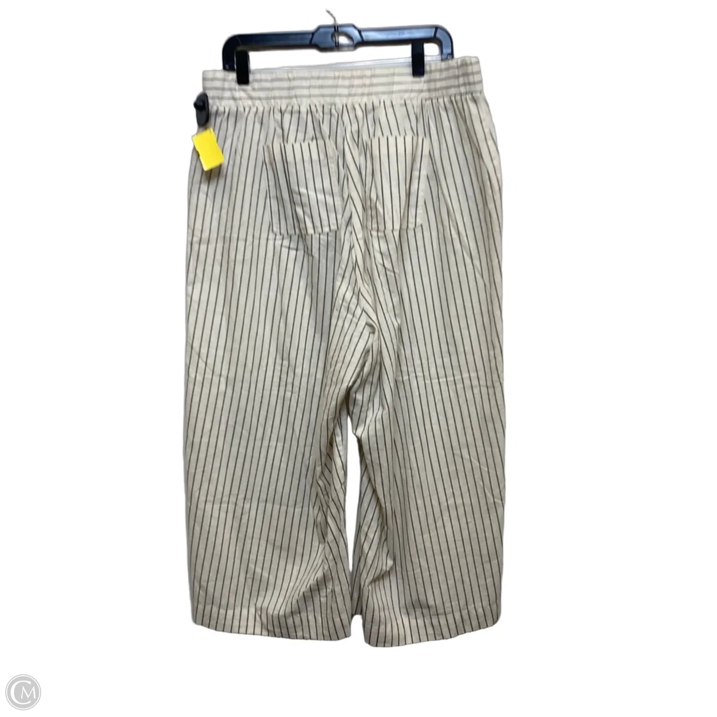 Pants Wide Leg By Torrid In White, Size: 12