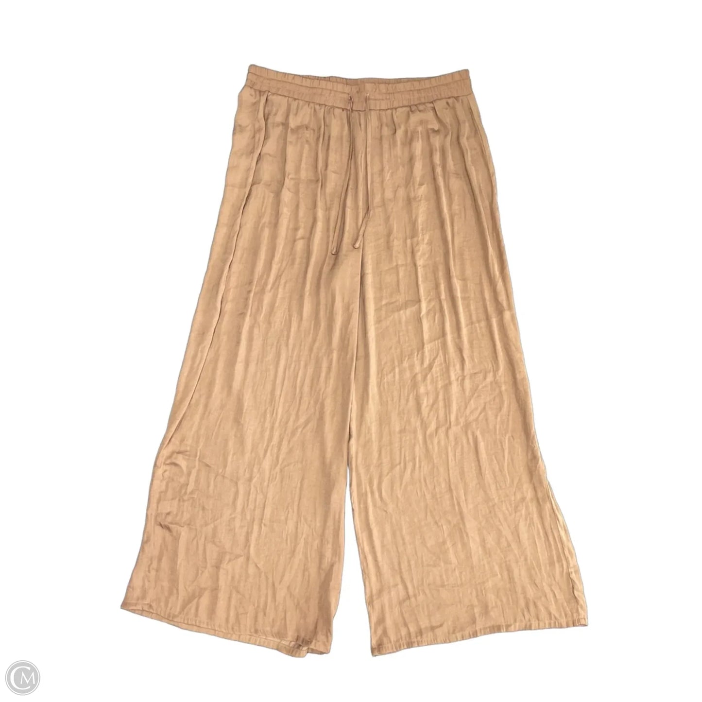 Pants Set 2pc By Joie In Brown, Size: Xl