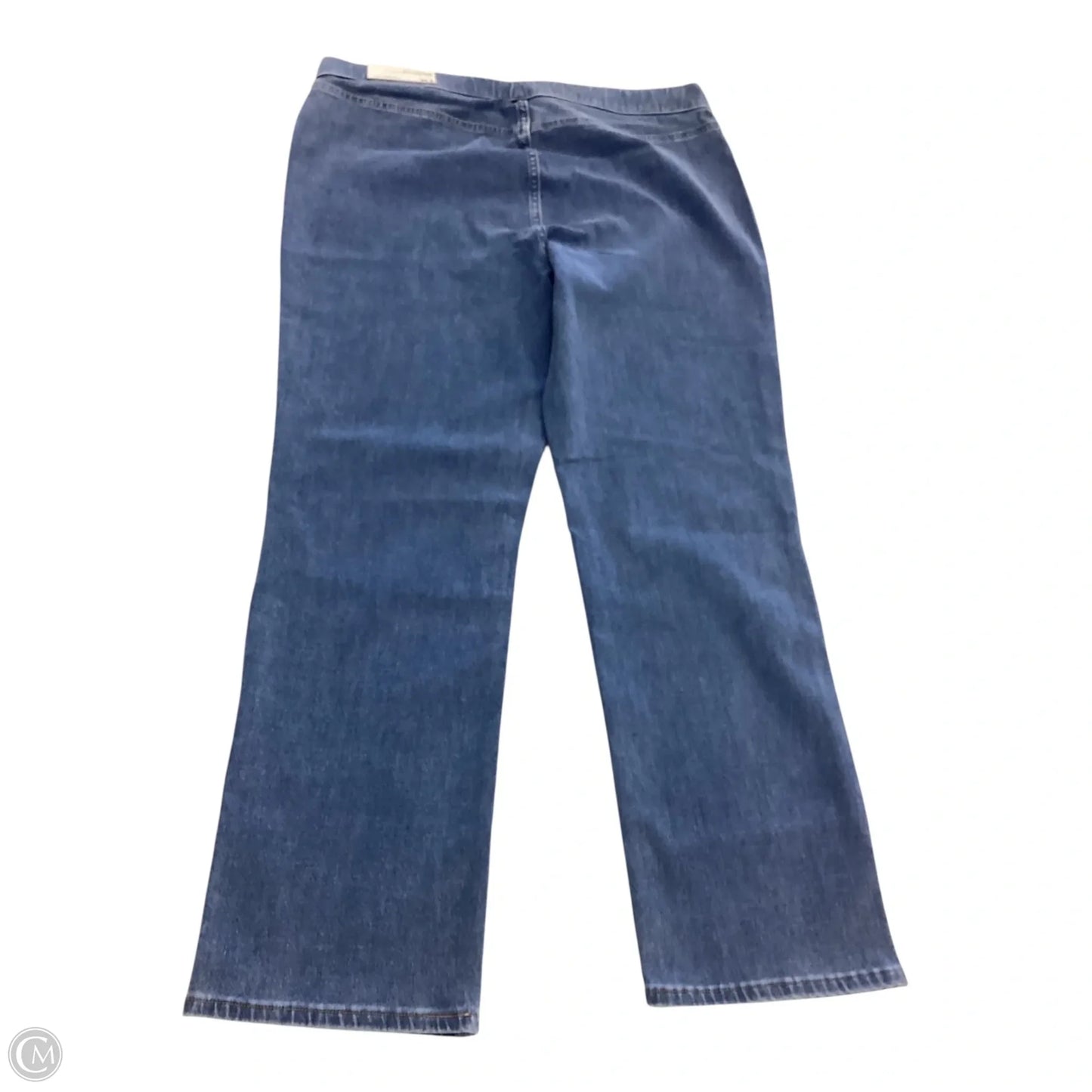 Pants Other By Soft Surroundings In Blue, Size: Xl