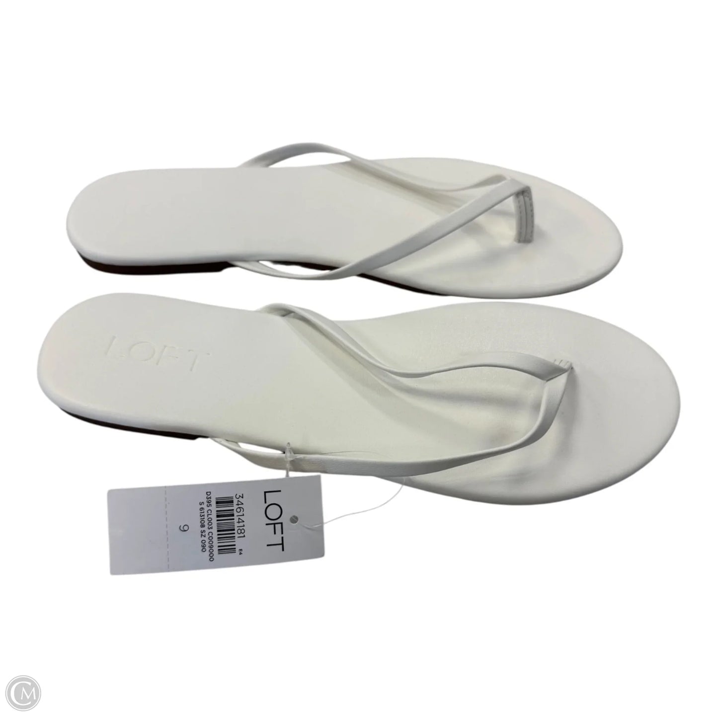 Sandals Flip Flops By Loft In White, Size: 9