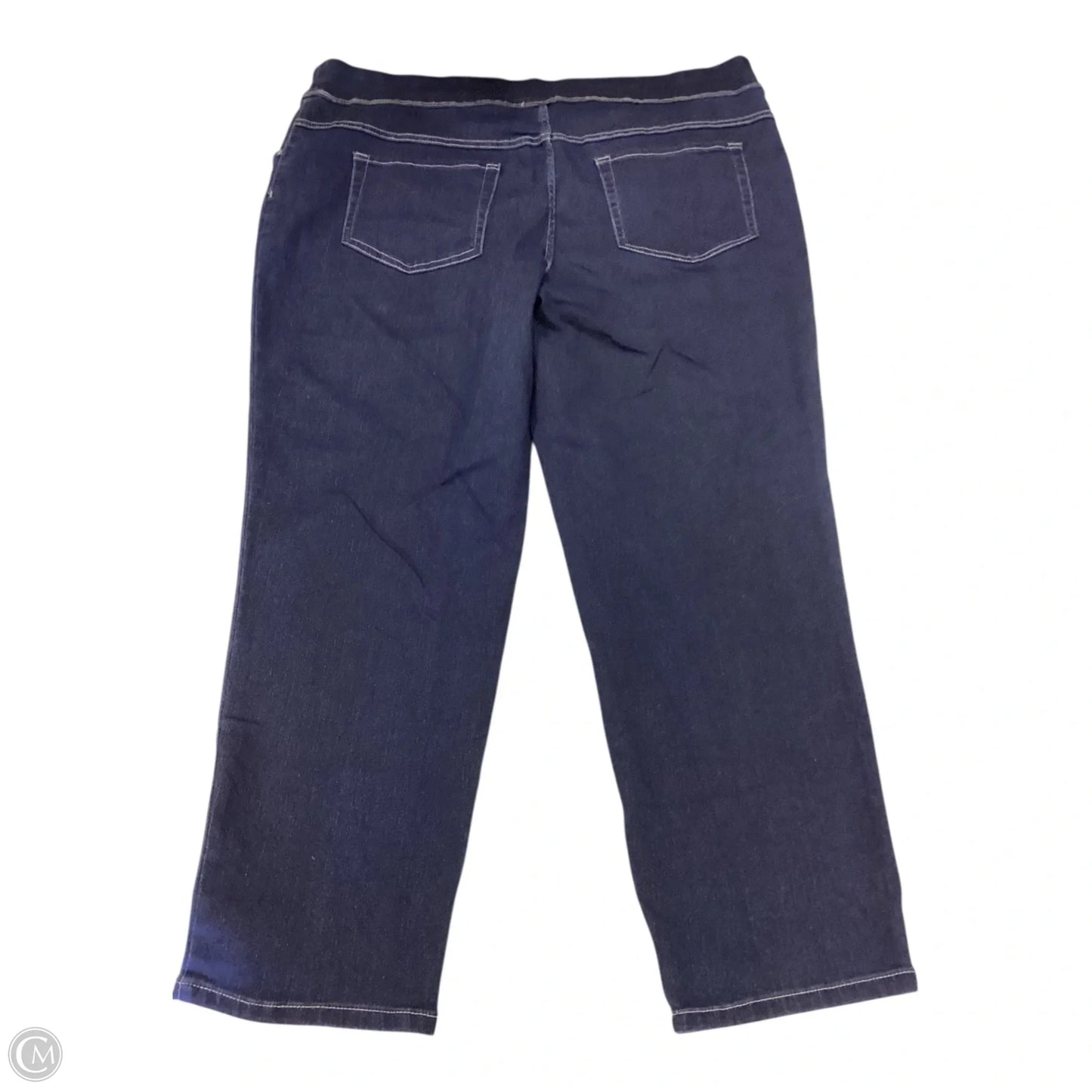 Jeans Straight By Terra & Sky In Blue Denim, Size: 2x