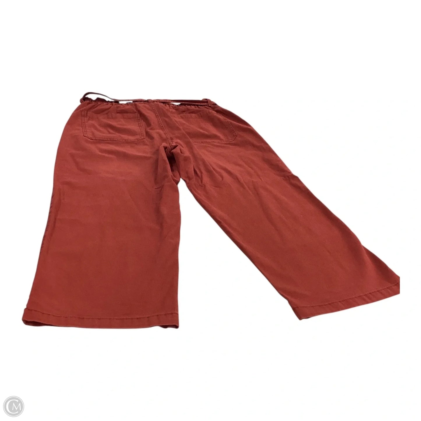 Pants Other By Time And Tru In Orange, Size: 16