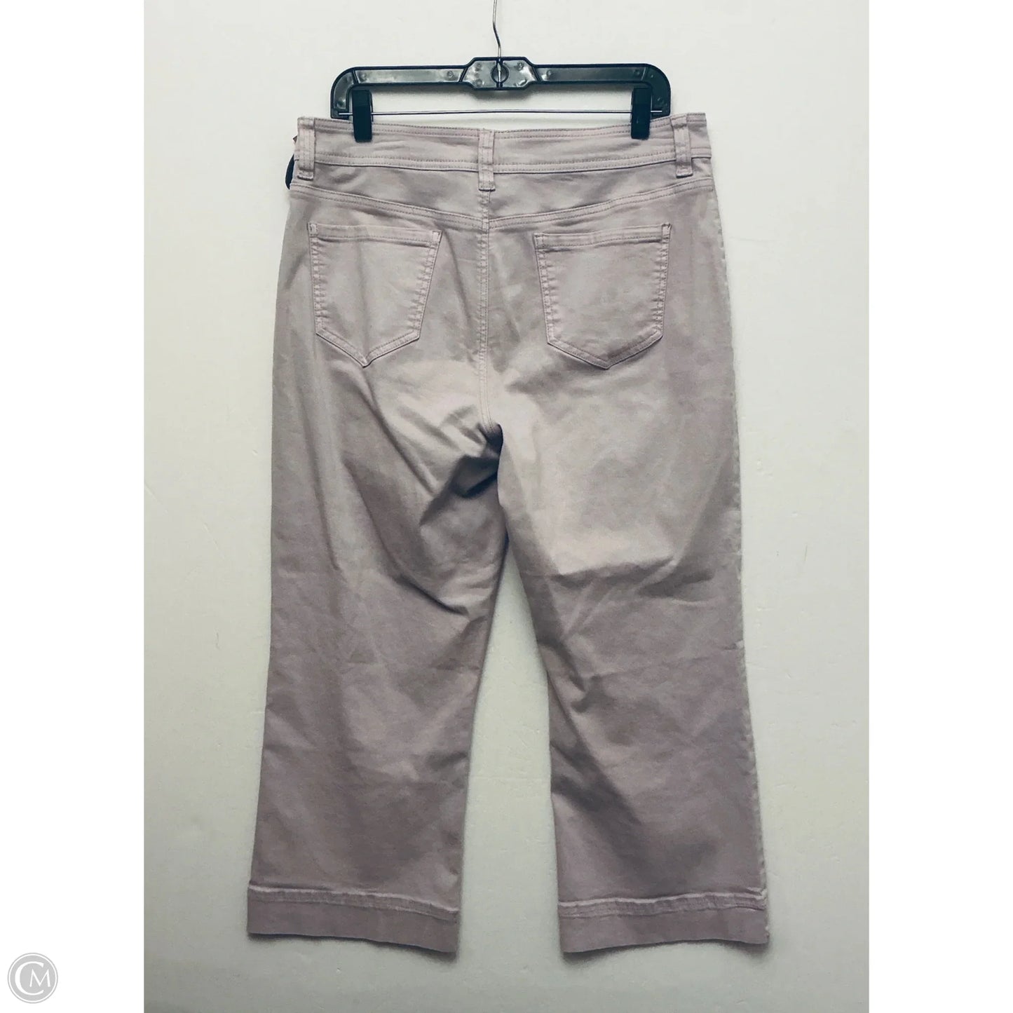 Pants Other By Buffalo David Bitton In Purple, Size: 12
