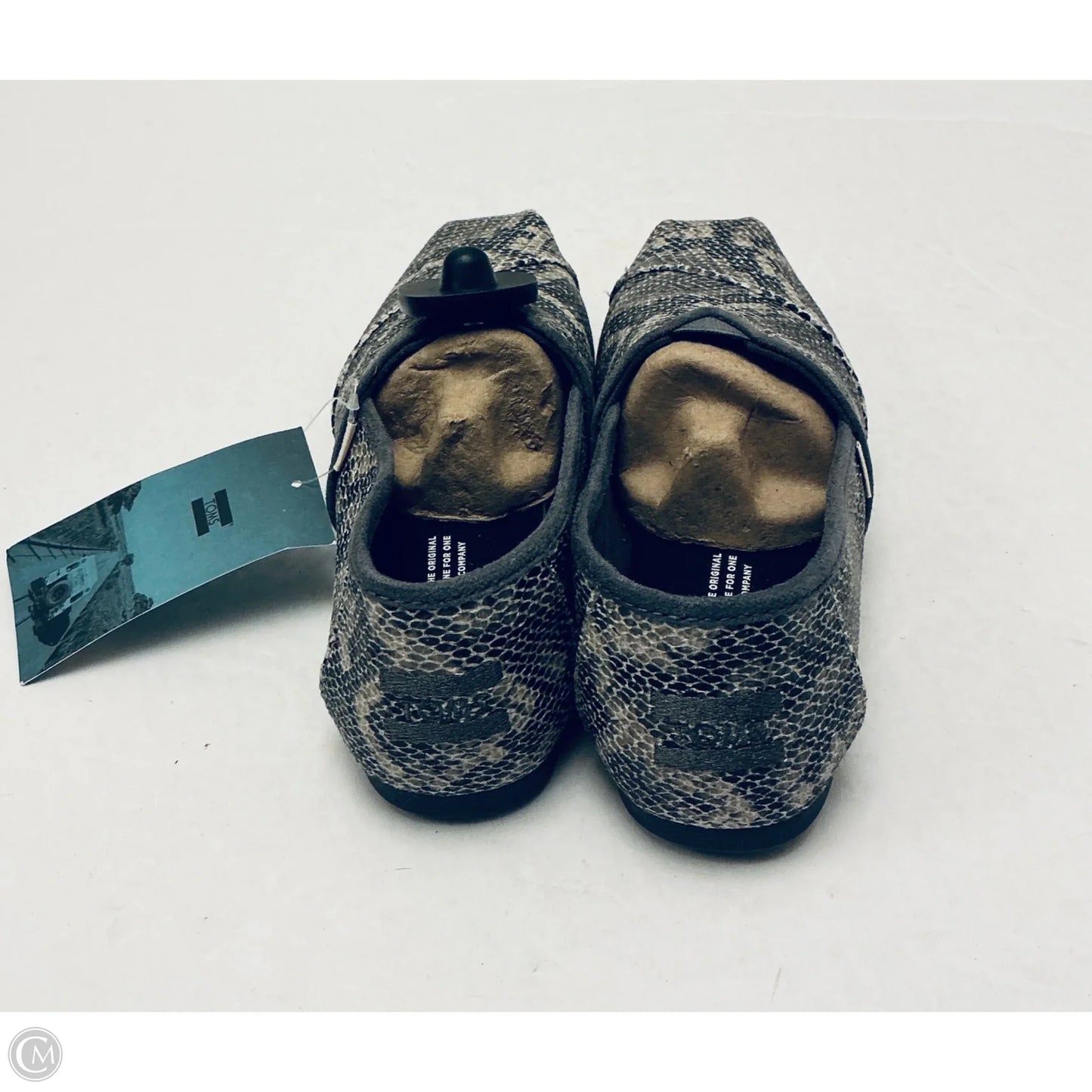 Shoes Flats By Toms In Snakeskin Print, Size: 7