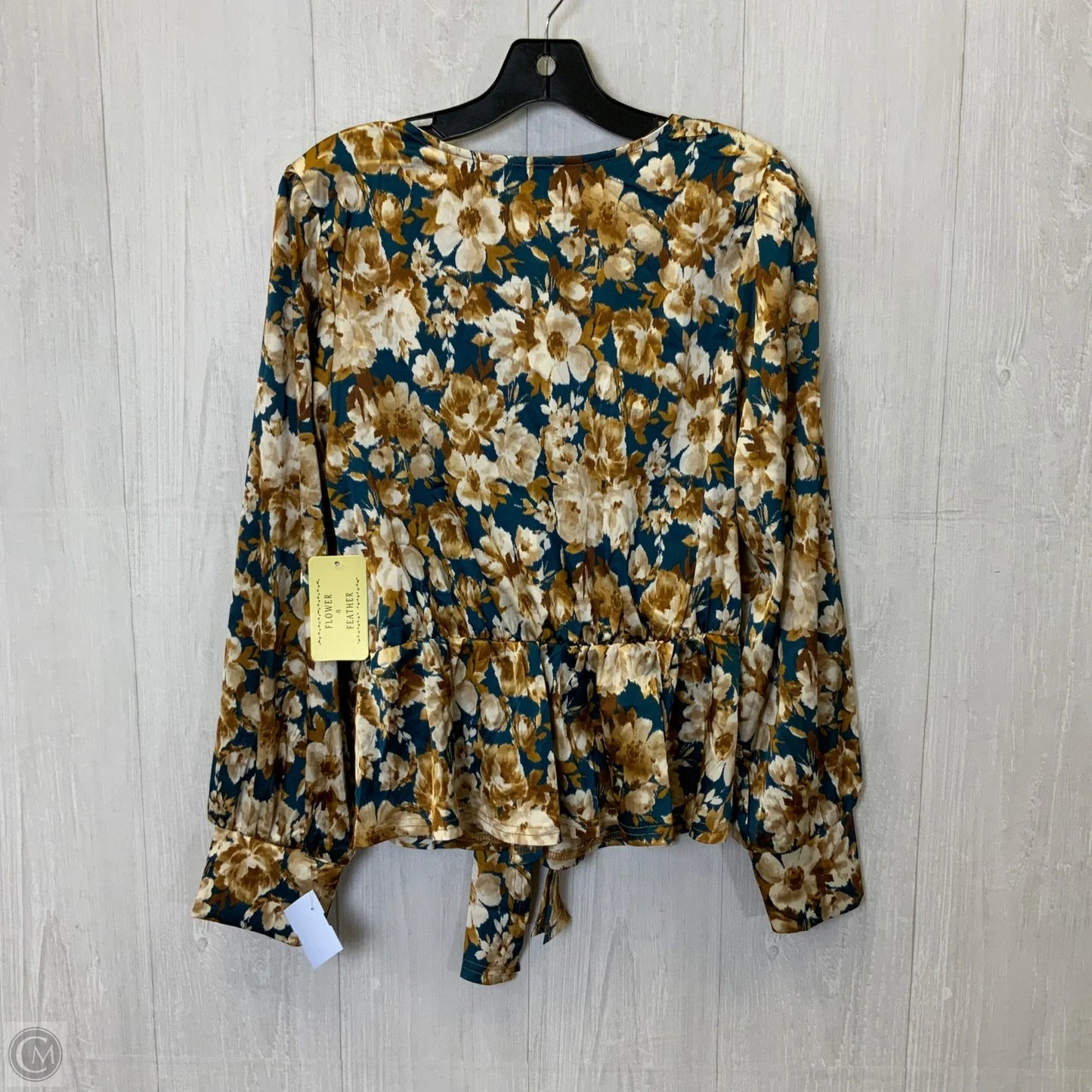 Blouse Long Sleeve By Clothes Mentor In Blue & Brown, Size: L