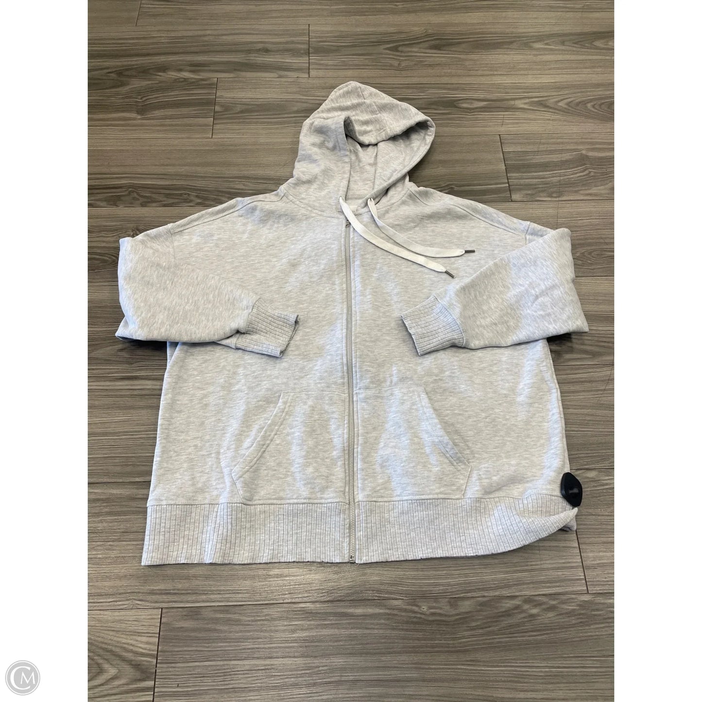 Sweatshirt Hoodie By Ultra Flirt In Grey, Size: 2x