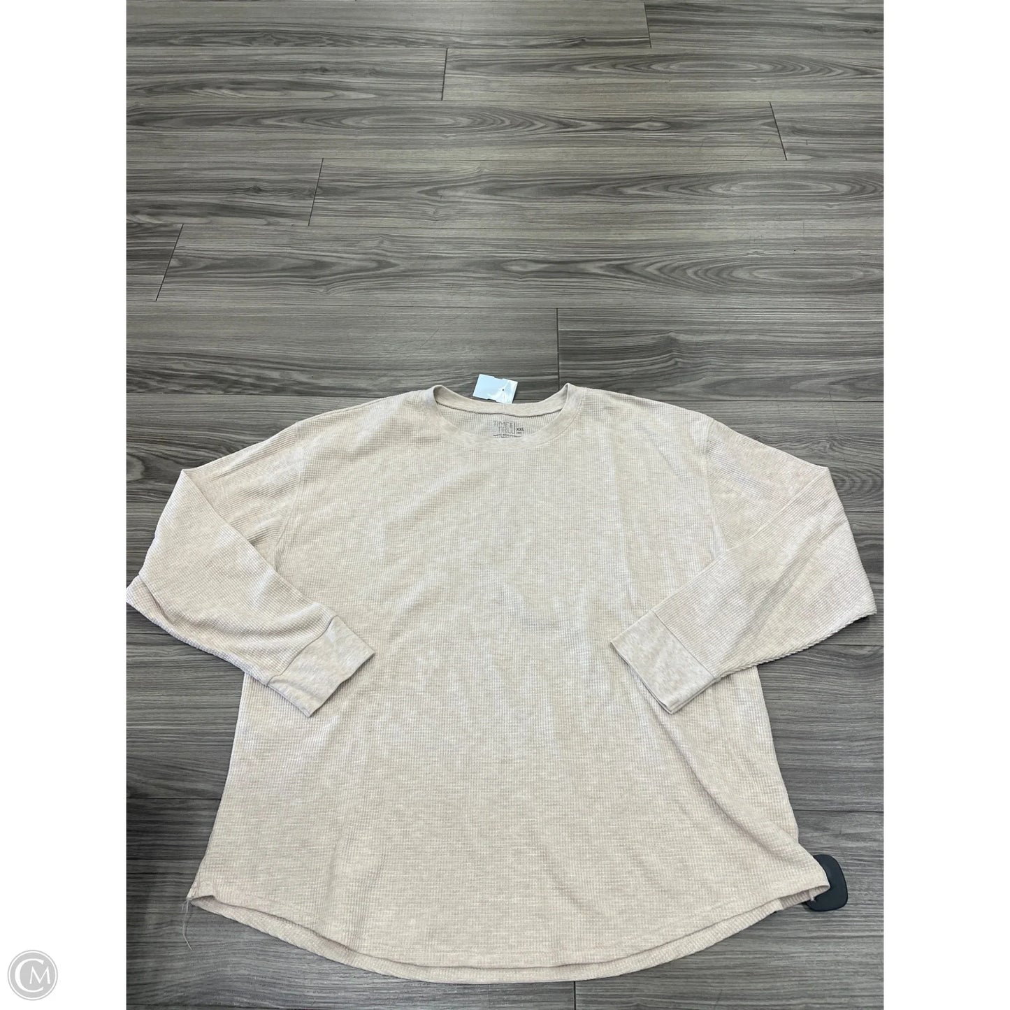 Top Long Sleeve By Time And Tru In Tan, Size: Xxl