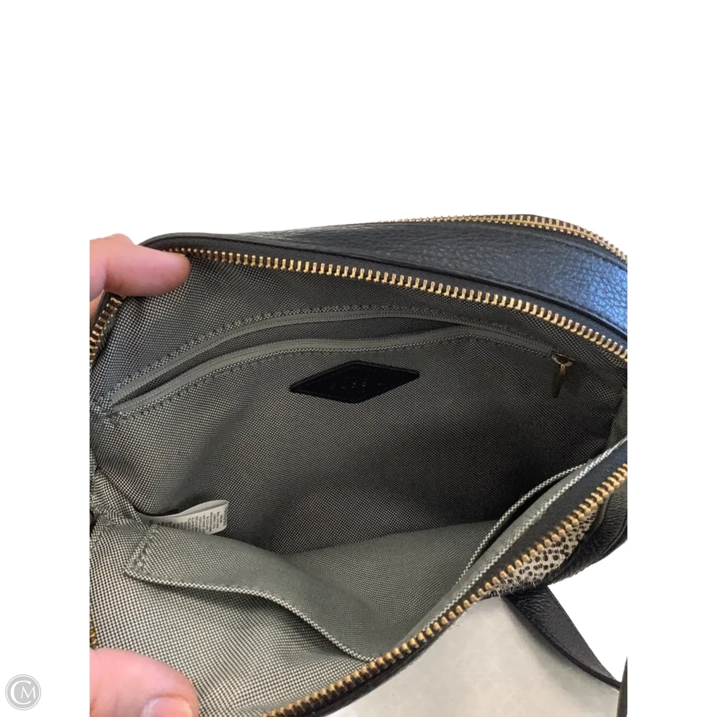 Crossbody By Fossil, Size: Medium