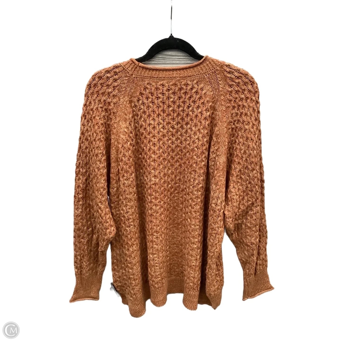 Sweater By Time And Tru In Brown, Size: Xl