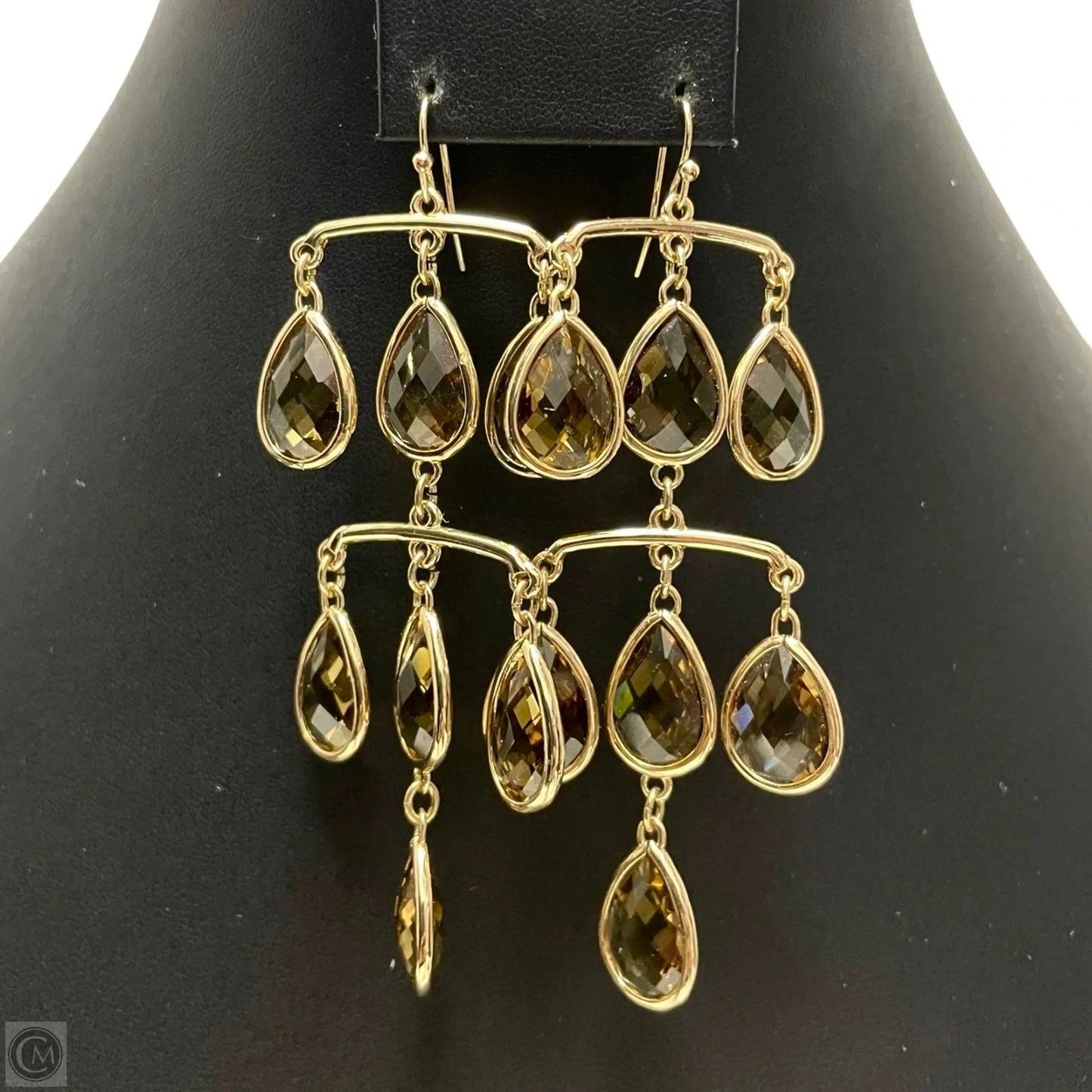 Earrings Dangle/drop By Chicos