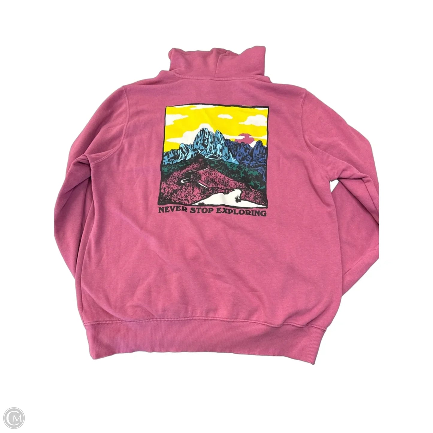 Sweatshirt Hoodie By The North Face In Pink, Size: L