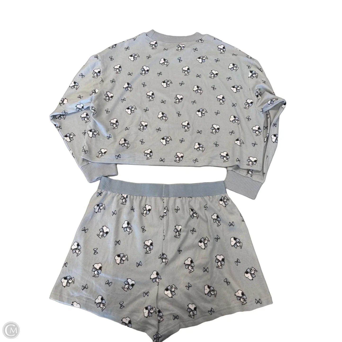Shorts Set By American Eagle In Animal Print, Size: M