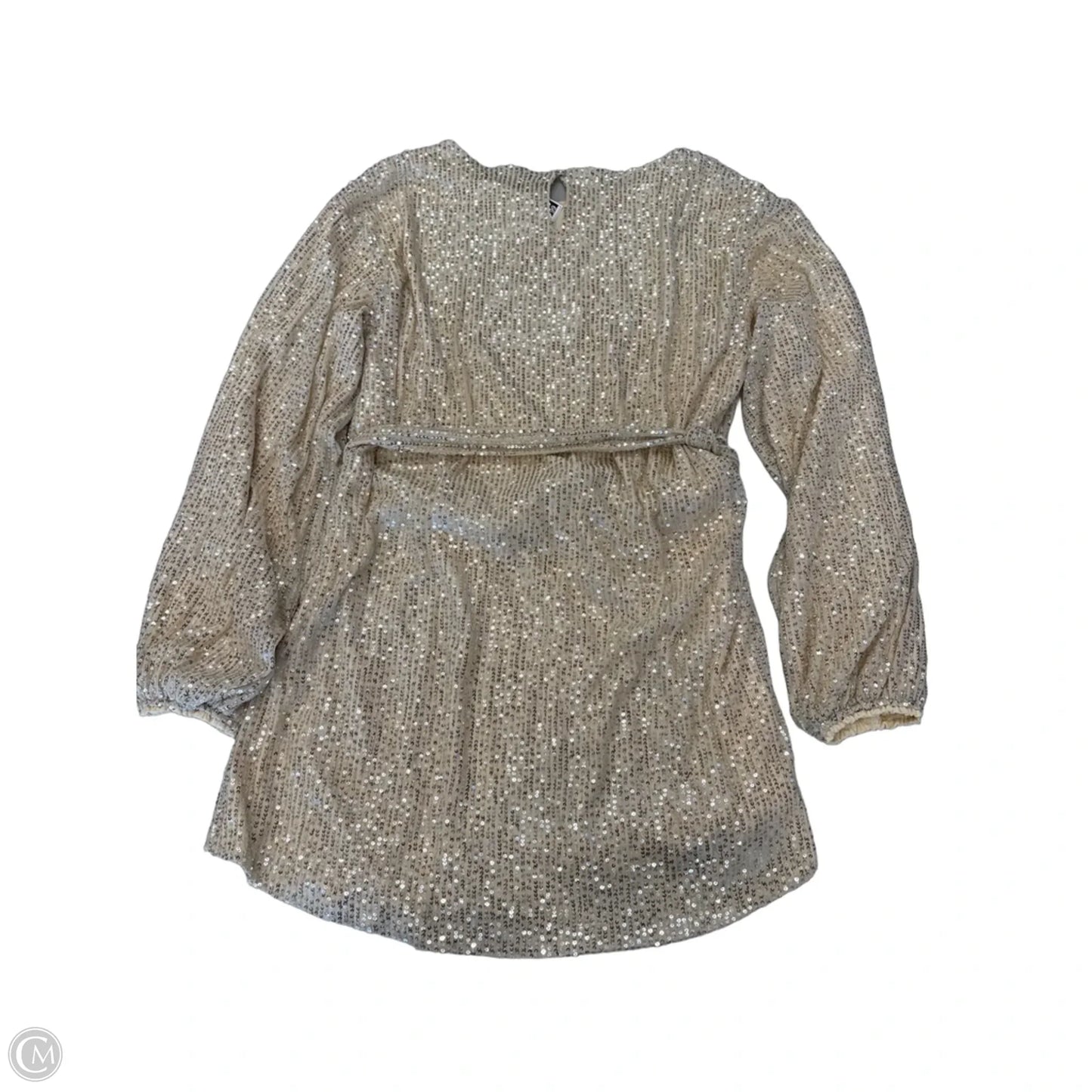 Dress Party Short By Clothes Mentor In Silver & Tan, Size: Xl