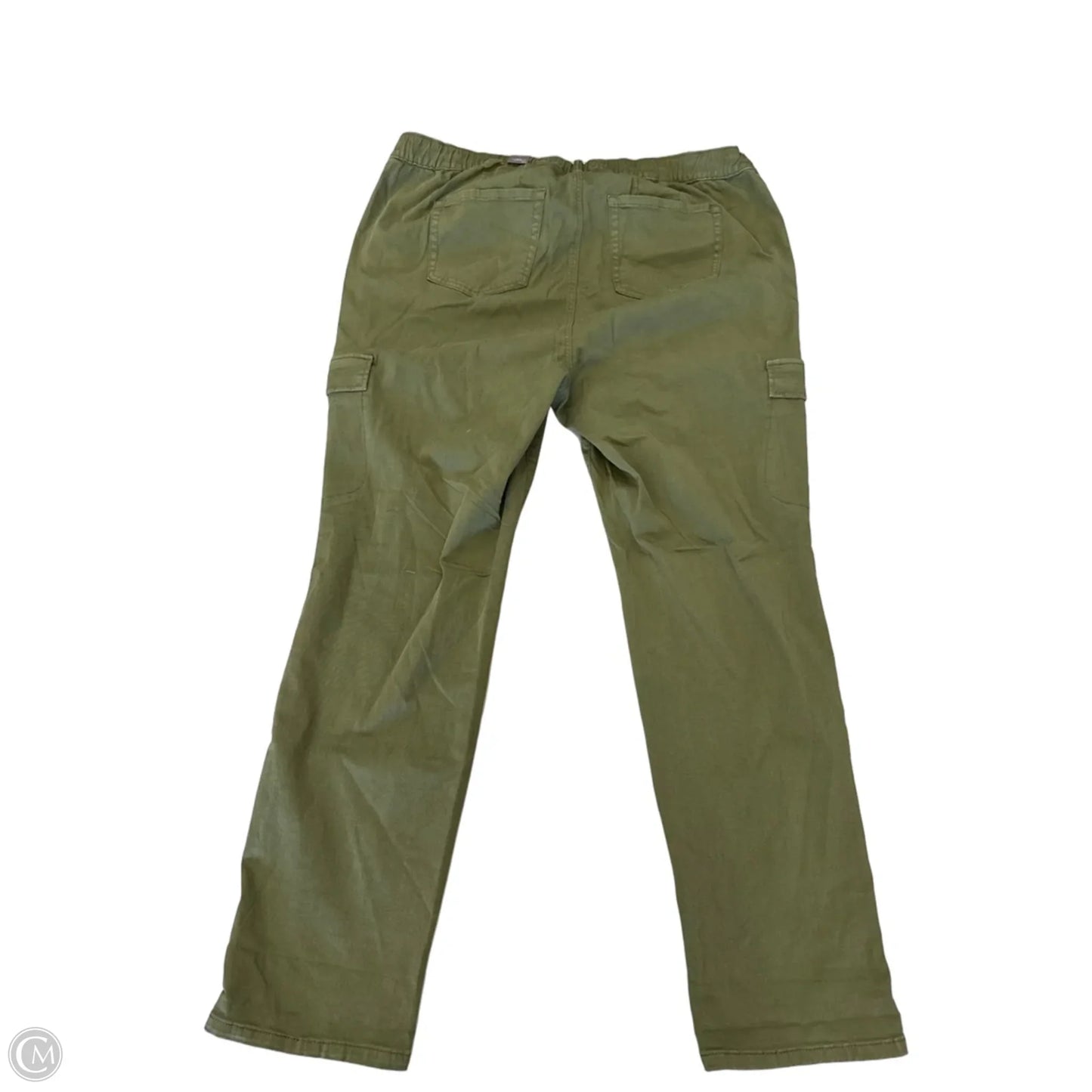 Pants Cargo & Utility By Torrid In Green, Size: 3XT
