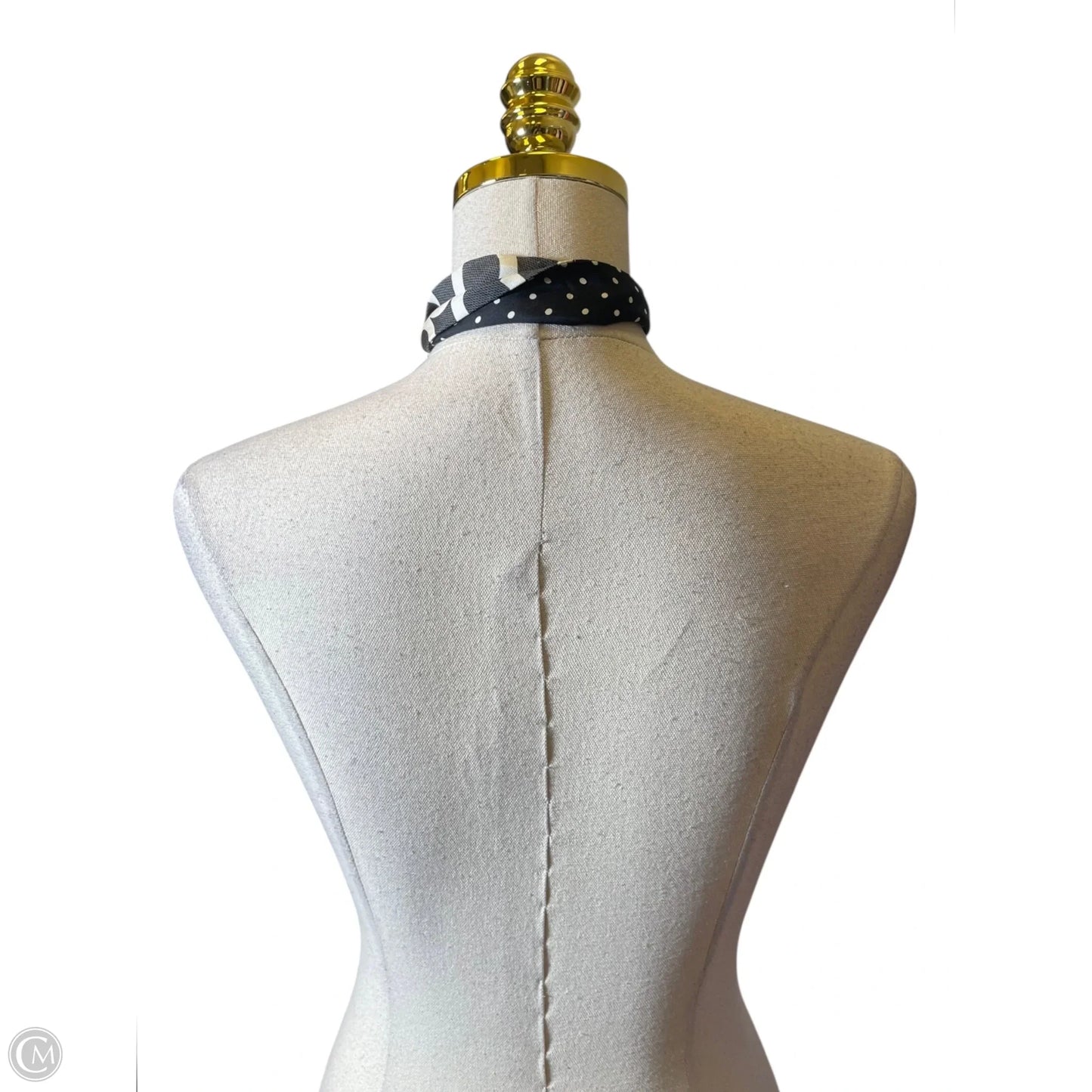 Scarf Designer By Coach