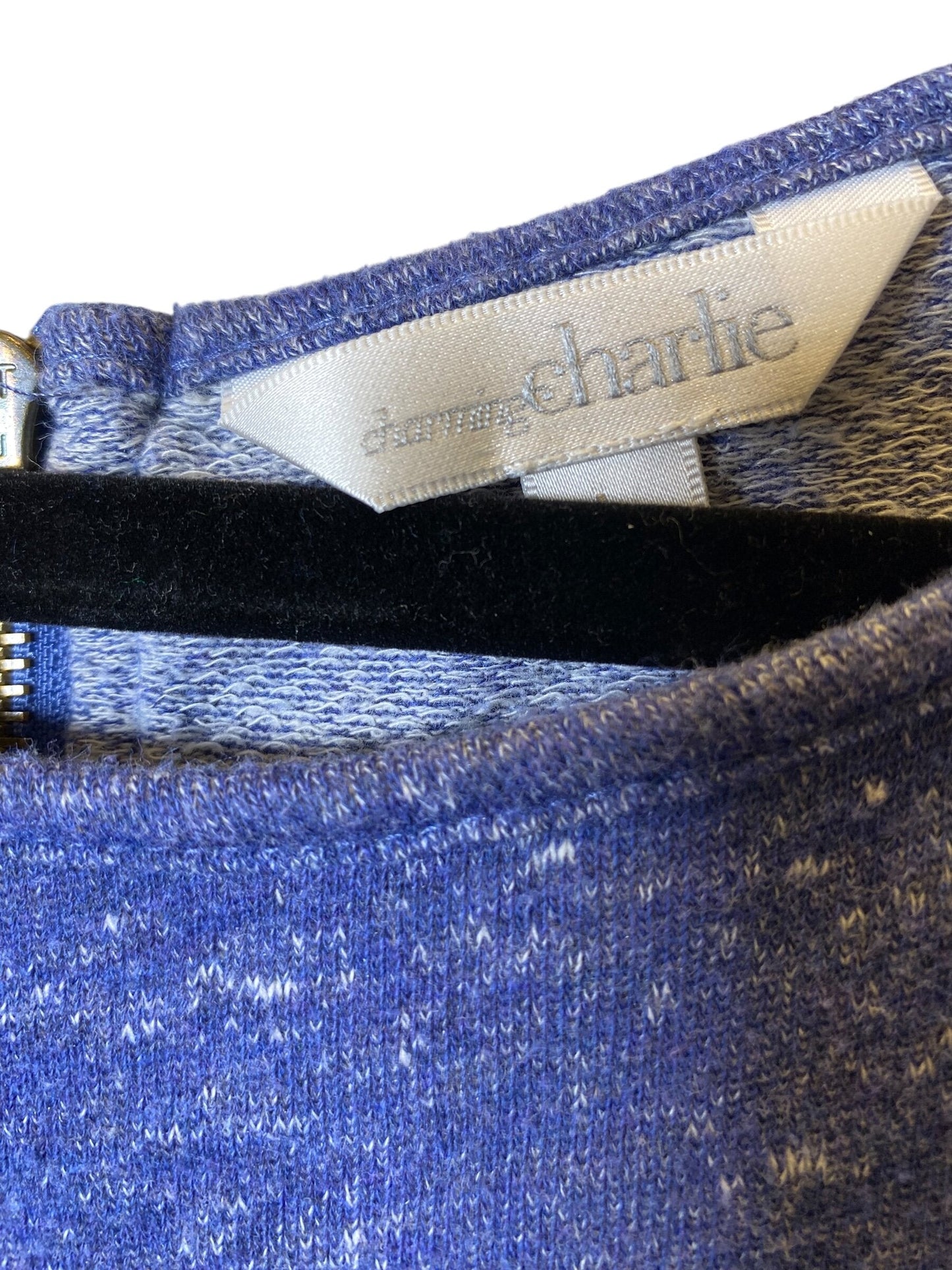 Top Long Sleeve By Charming Charlie Size: L