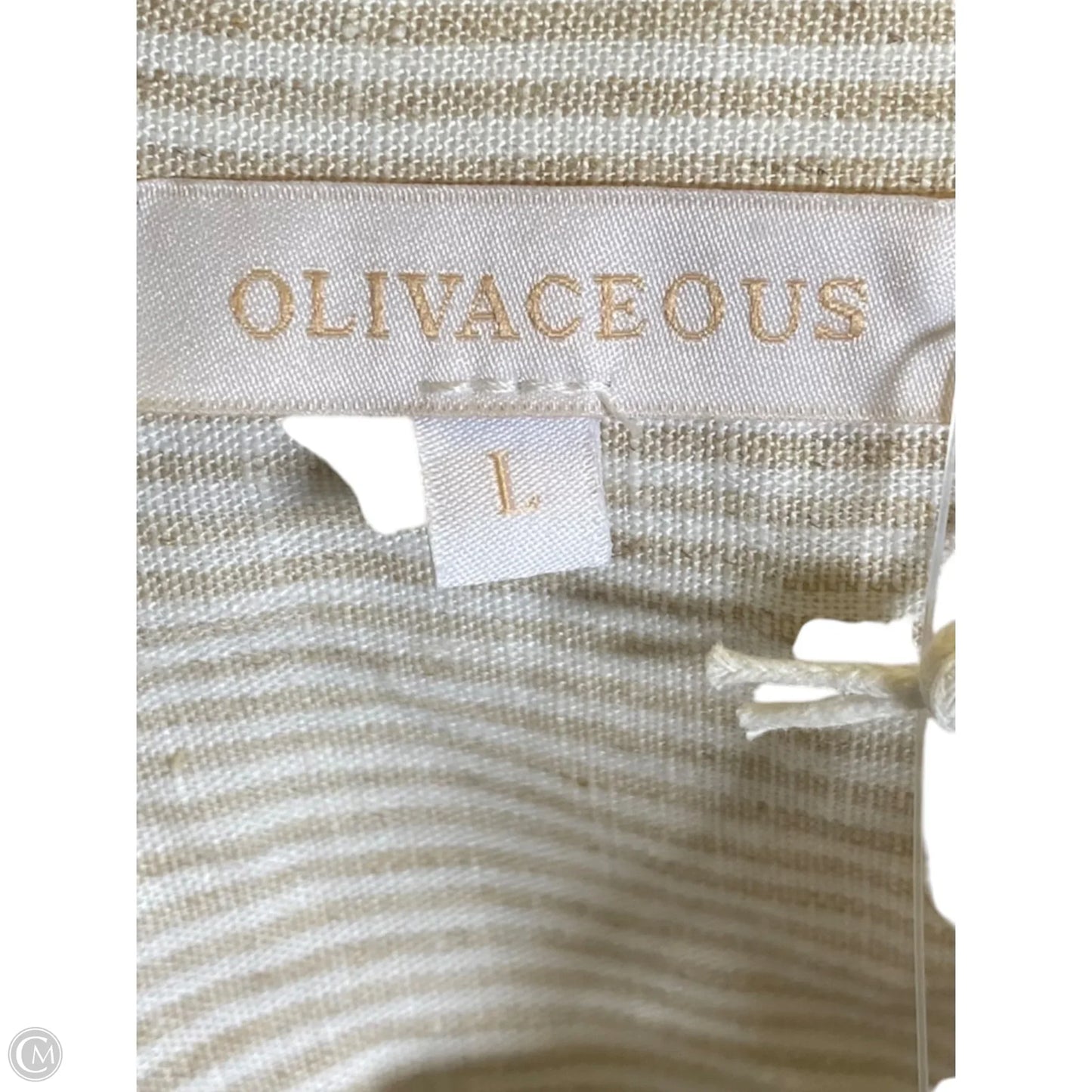 Blouse Short Sleeve By Olivaceous In Striped Pattern, Size: L
