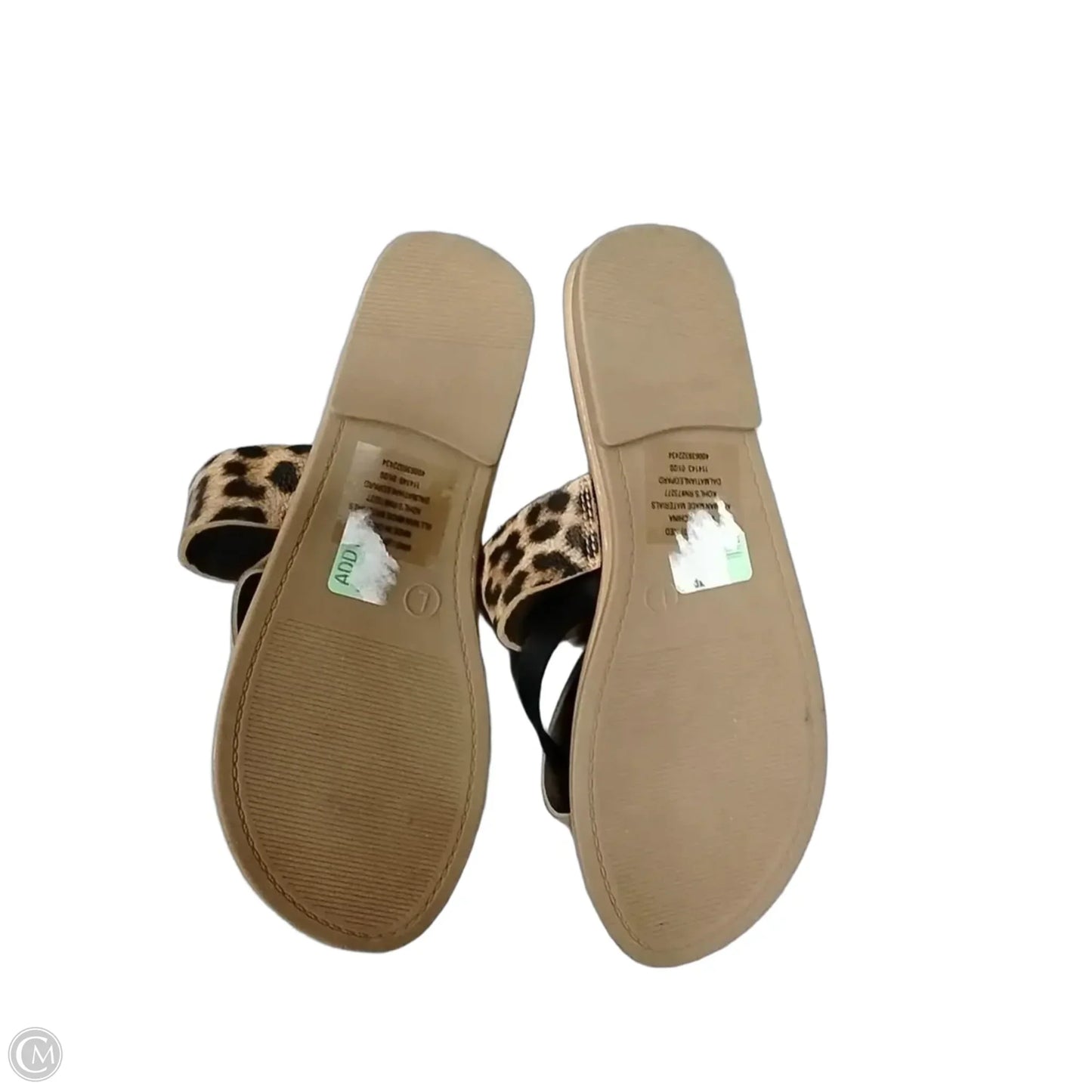 Sandals Flip Flops By Sonoma In Animal Print, Size: 10