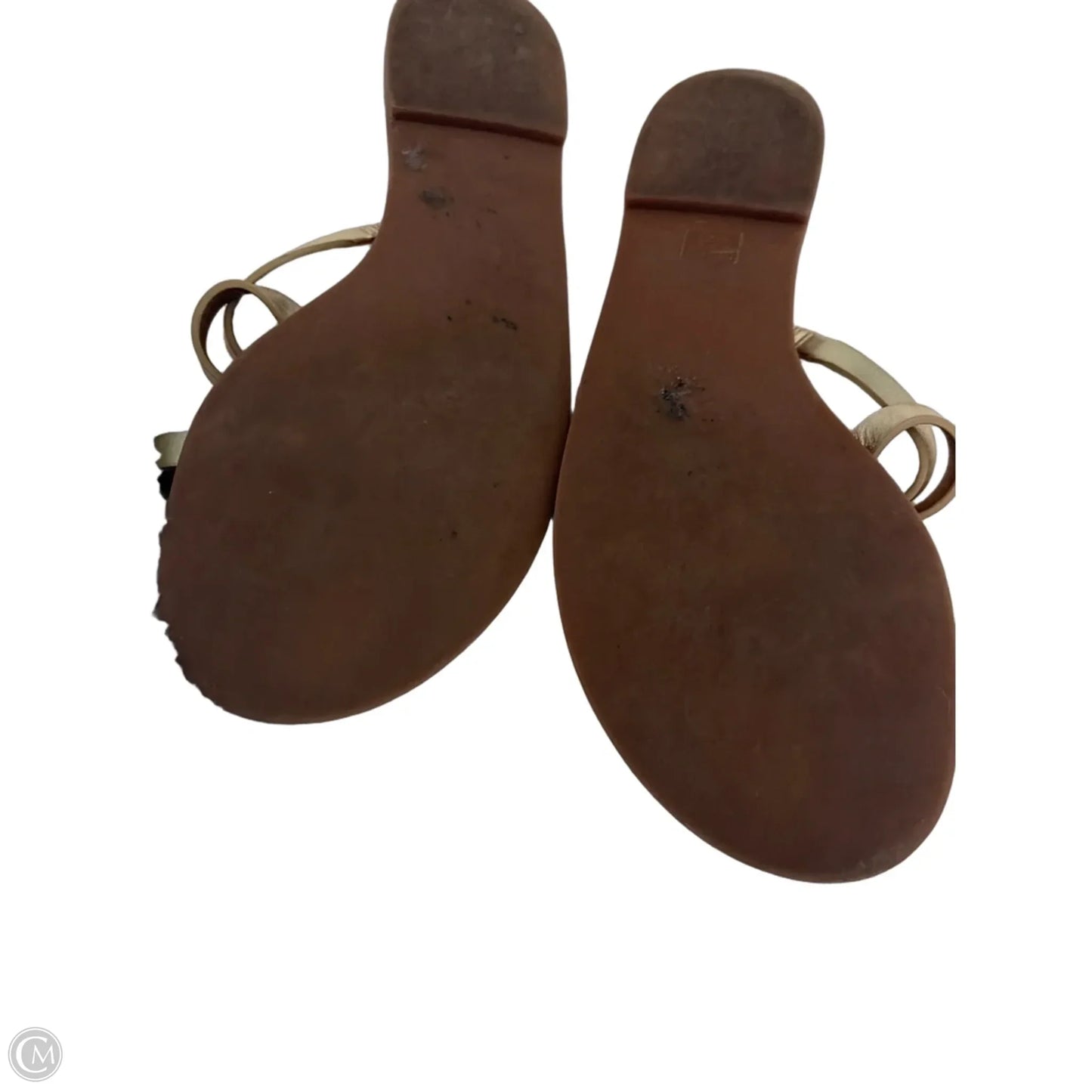 Sandals Designer By Tory Burch In Brown & Gold, Size: 8