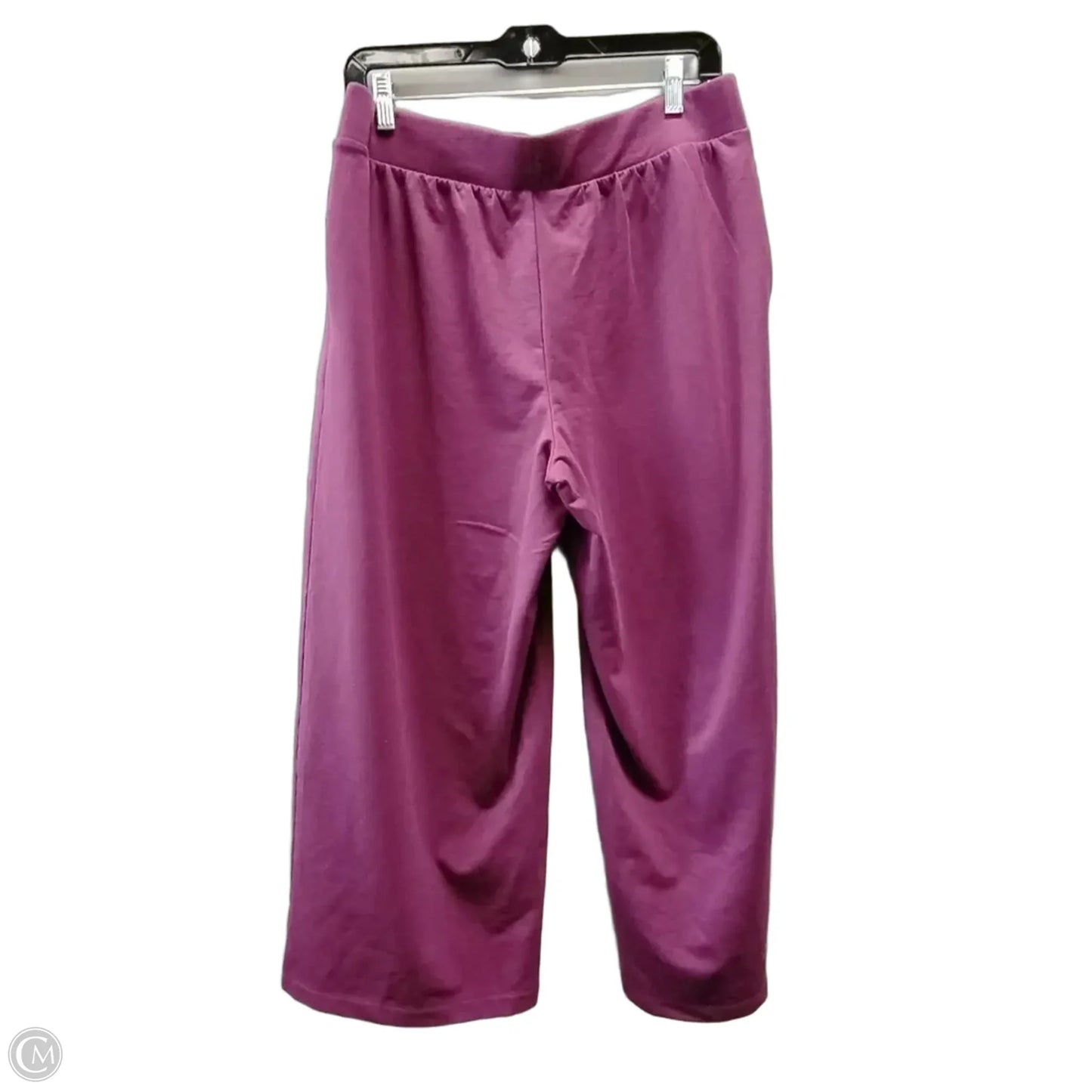 Athletic Pants 2pc By J. Jill In Purple, Size: M
