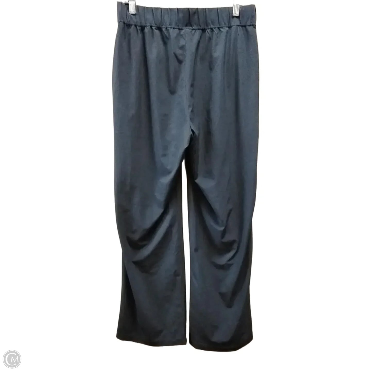 Athletic Pants By J. Jill In Blue, Size: S