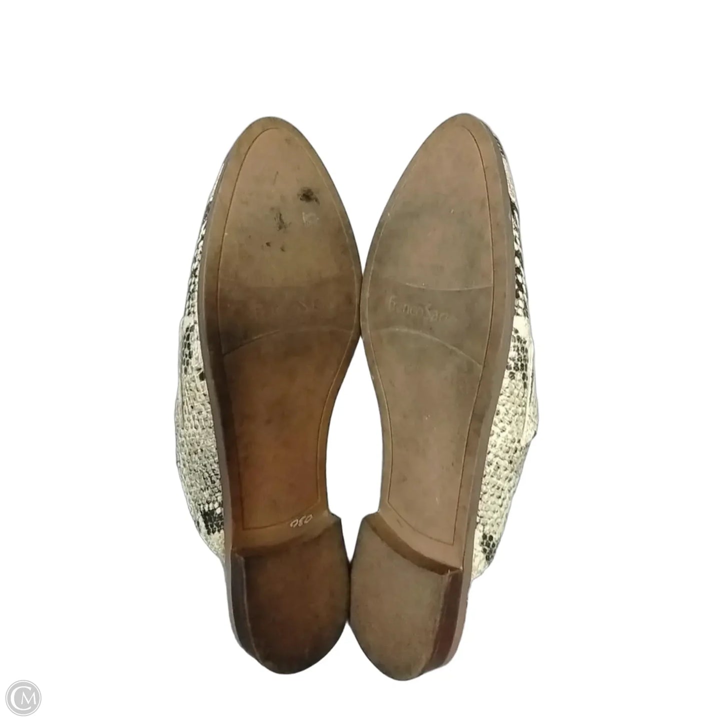 Shoes Flats By Franco Sarto In Snakeskin Print, Size: 9.5