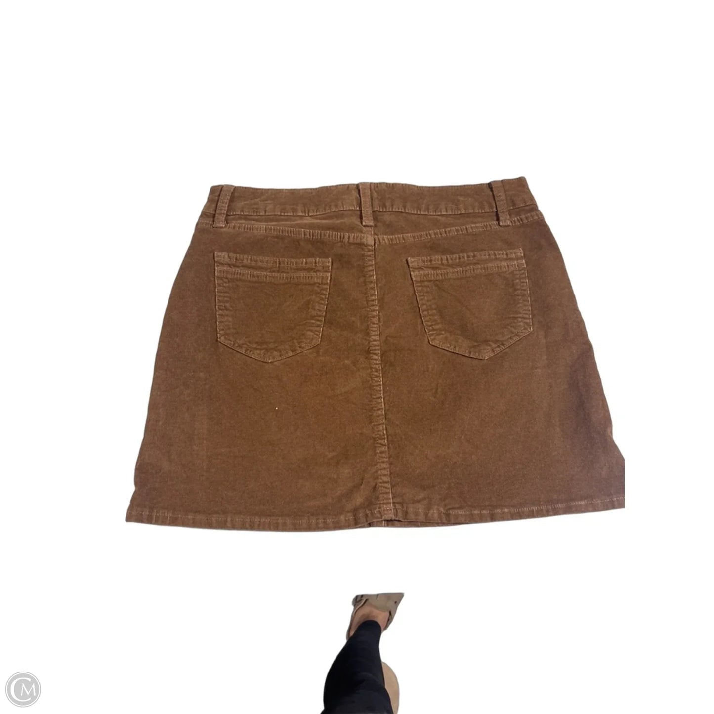 Skirt Mini & Short By Time And Tru In Brown, Size: 14