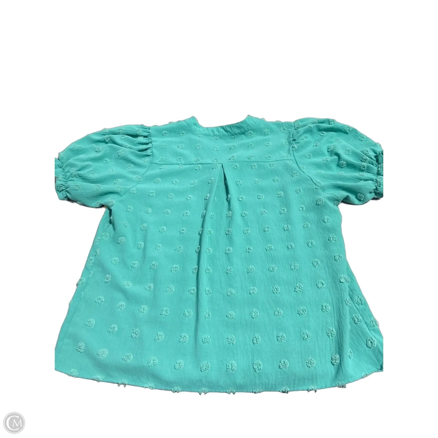 Top Short Sleeve By Clothes Mentor In Teal, Size: Xxl