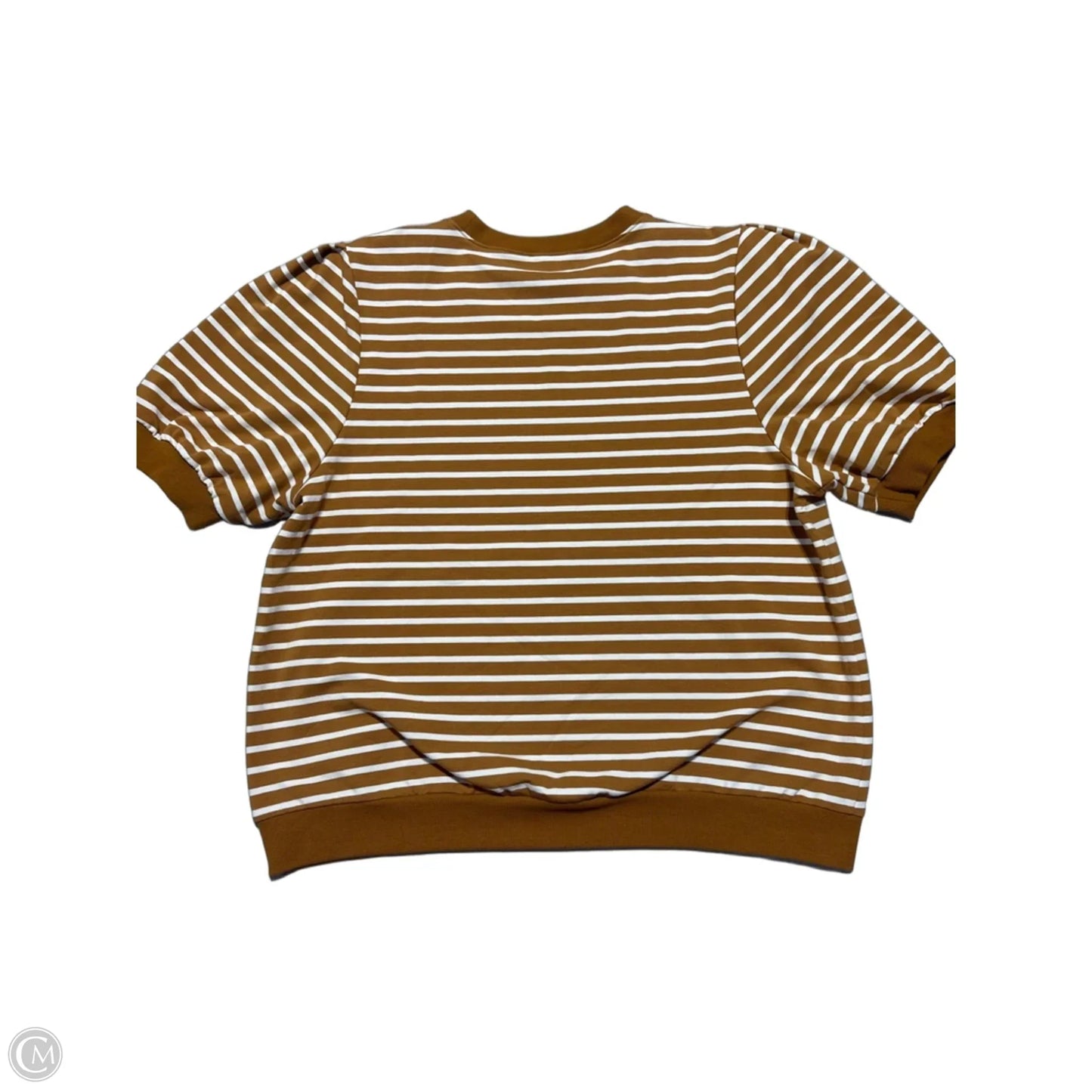 Top Short Sleeve By One World In Tan & White, Size: Xl
