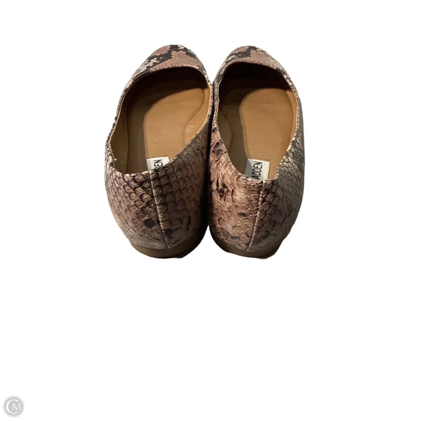 Shoes Flats By Steve Madden In Snakeskin Print, Size: 7